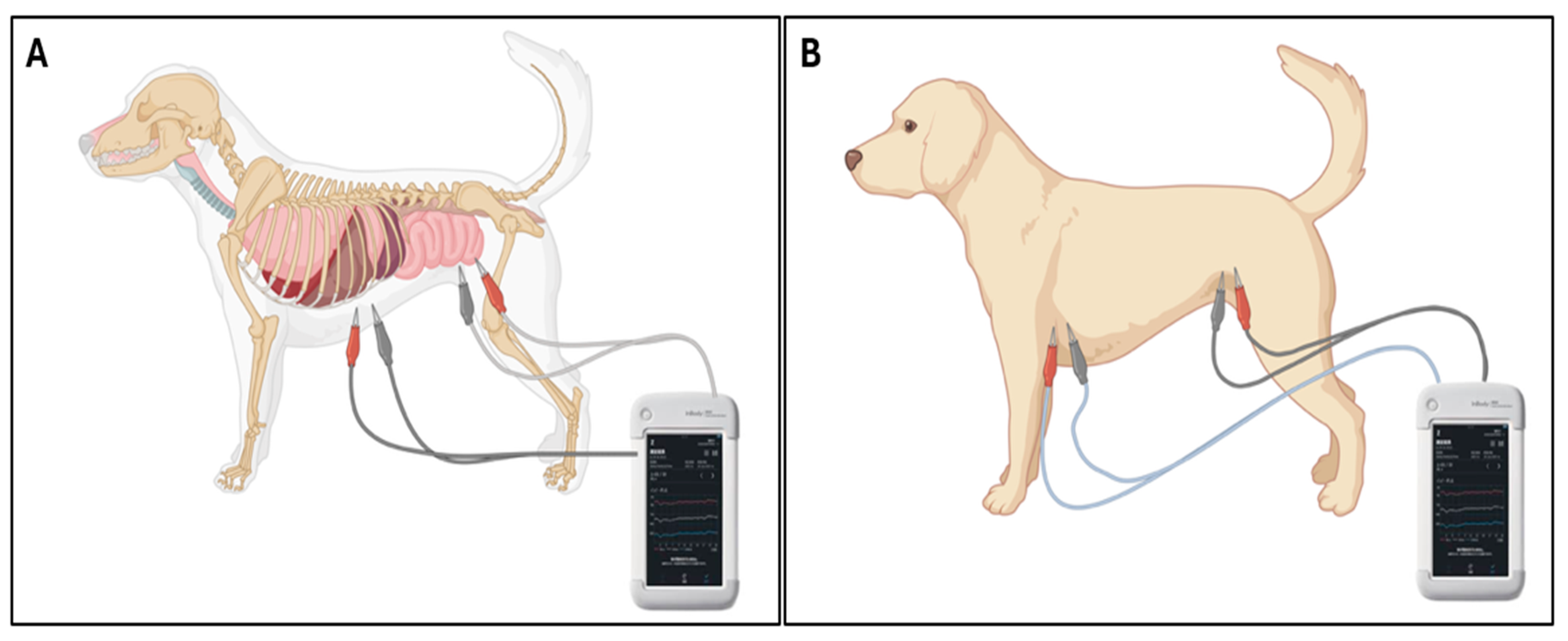 Vetsci 12 01007 g002