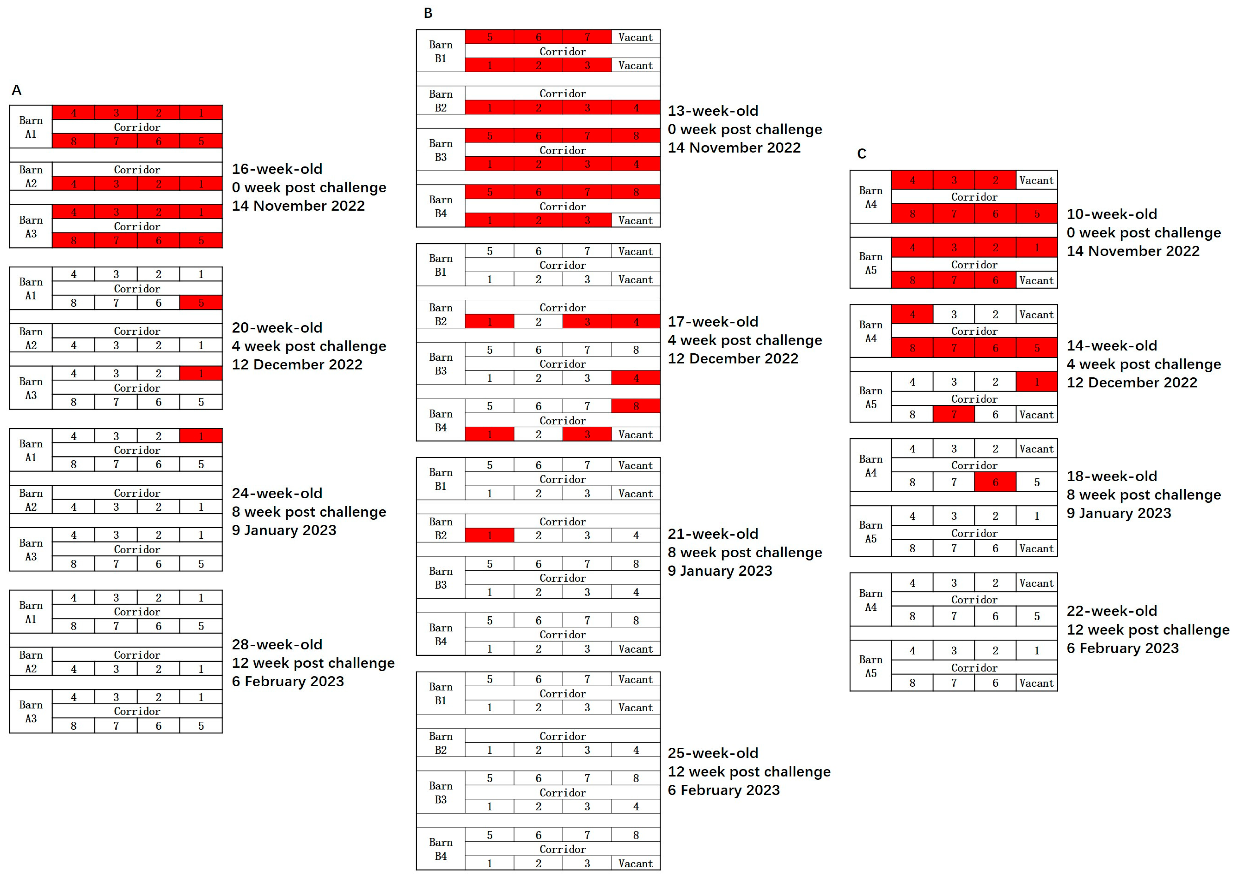 Vetsci 12 01012 g005 Vetsci 12 01012 g005