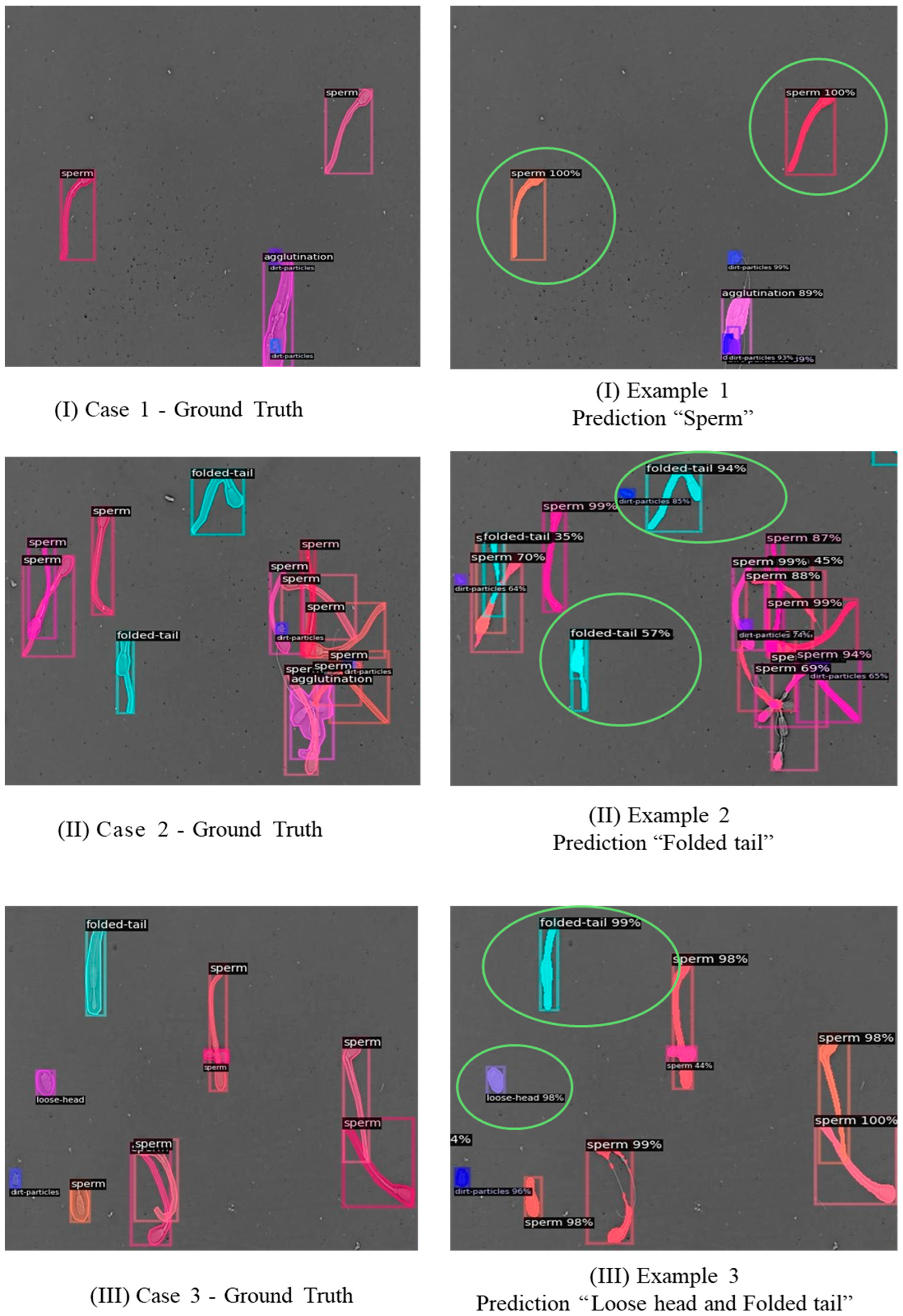 Vetsci 12 01015 g007