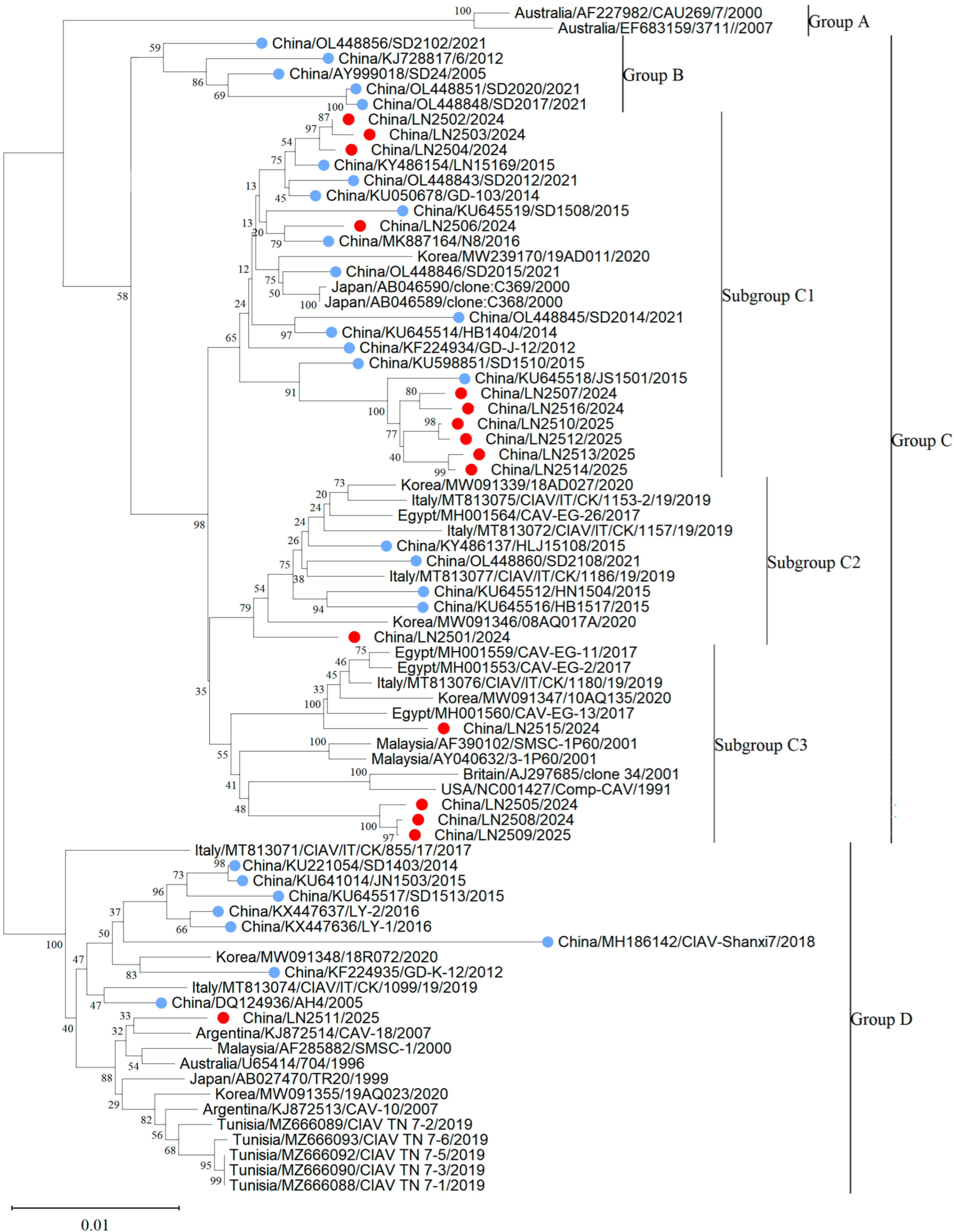 Vetsci 12 01031 g002 Vetsci 12 01031 g002