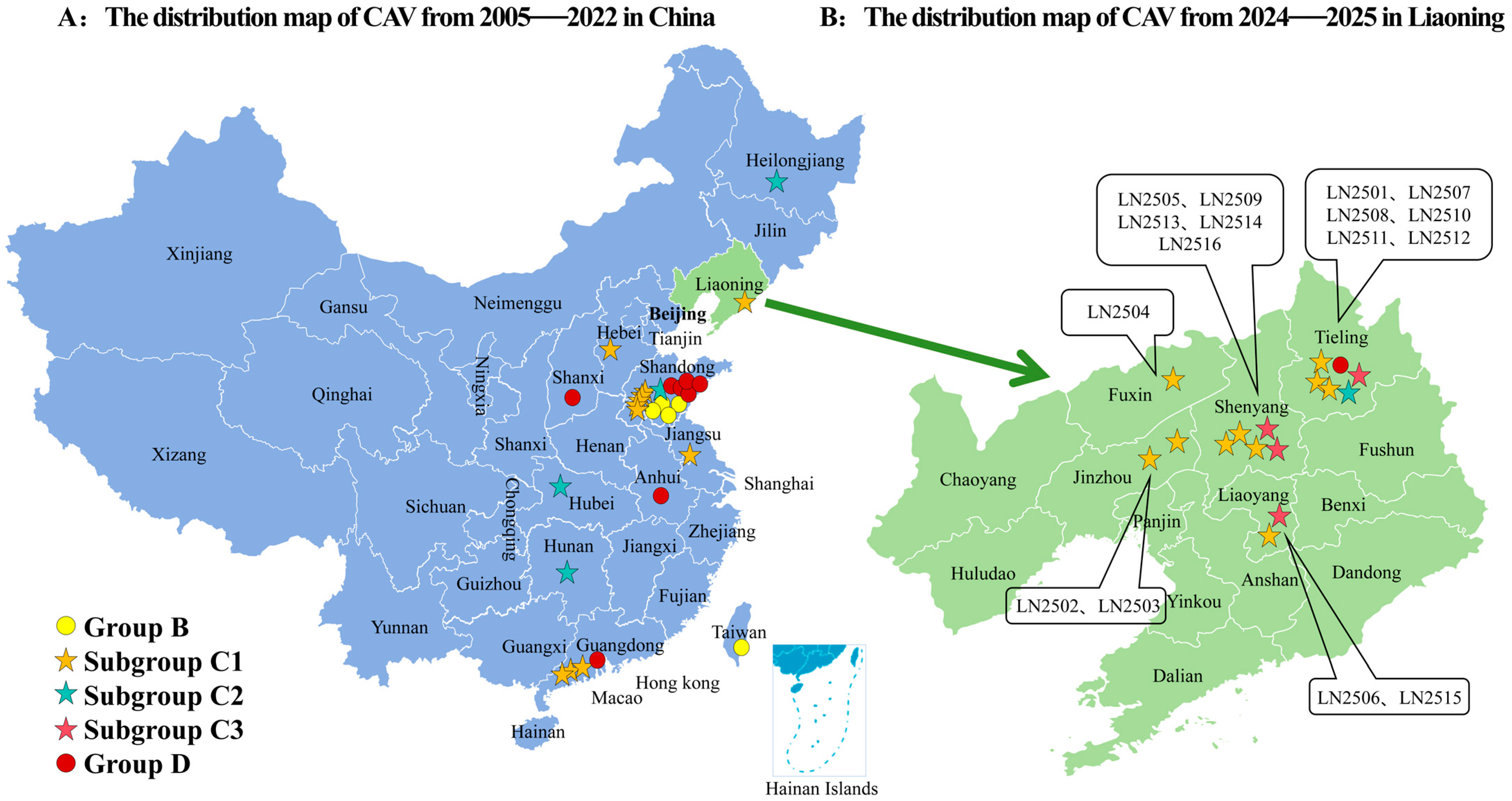 Vetsci 12 01031 g003 Vetsci 12 01031 g003
