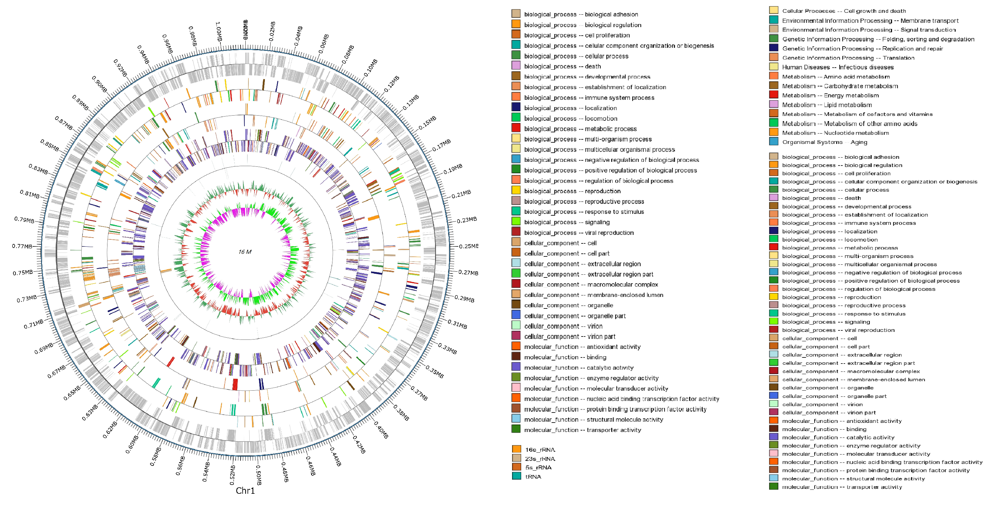Vetsci 12 01044 g007 Vetsci 12 01044 g007