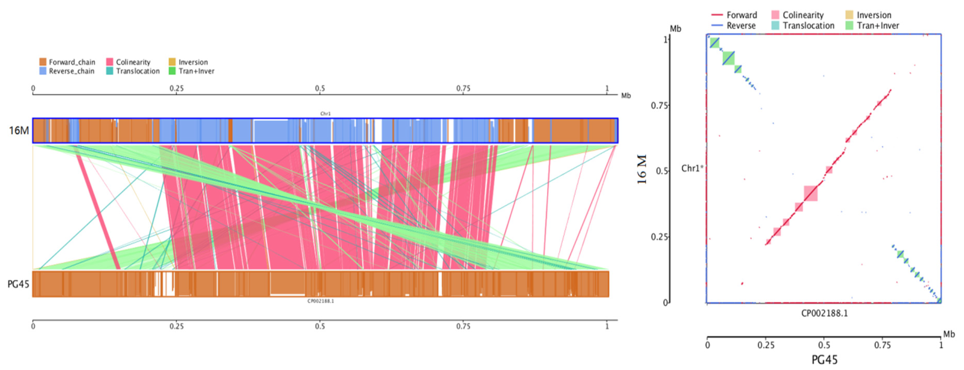 Vetsci 12 01044 g008 Vetsci 12 01044 g008