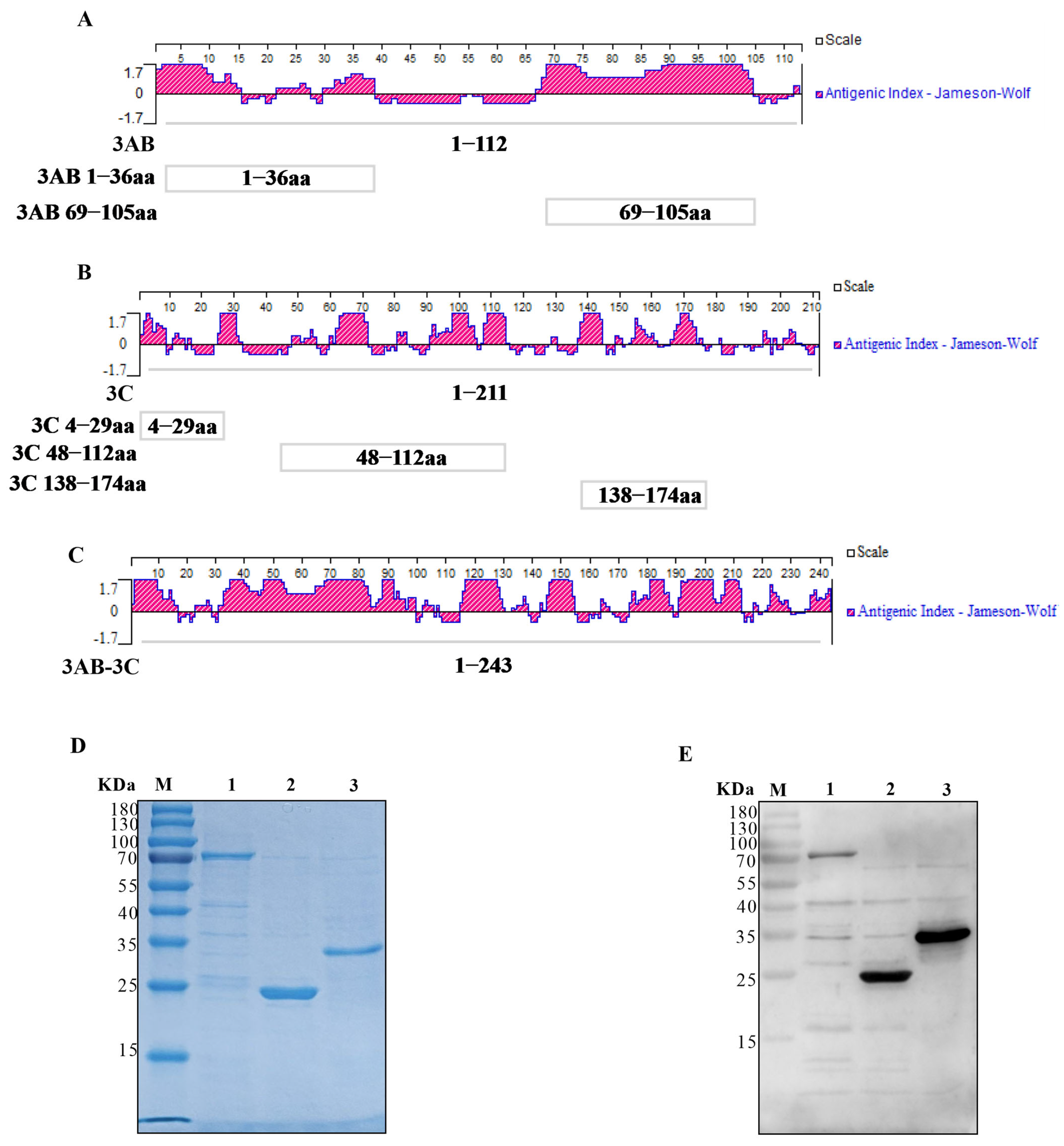 Vetsci 12 01046 g001 Vetsci 12 01046 g001