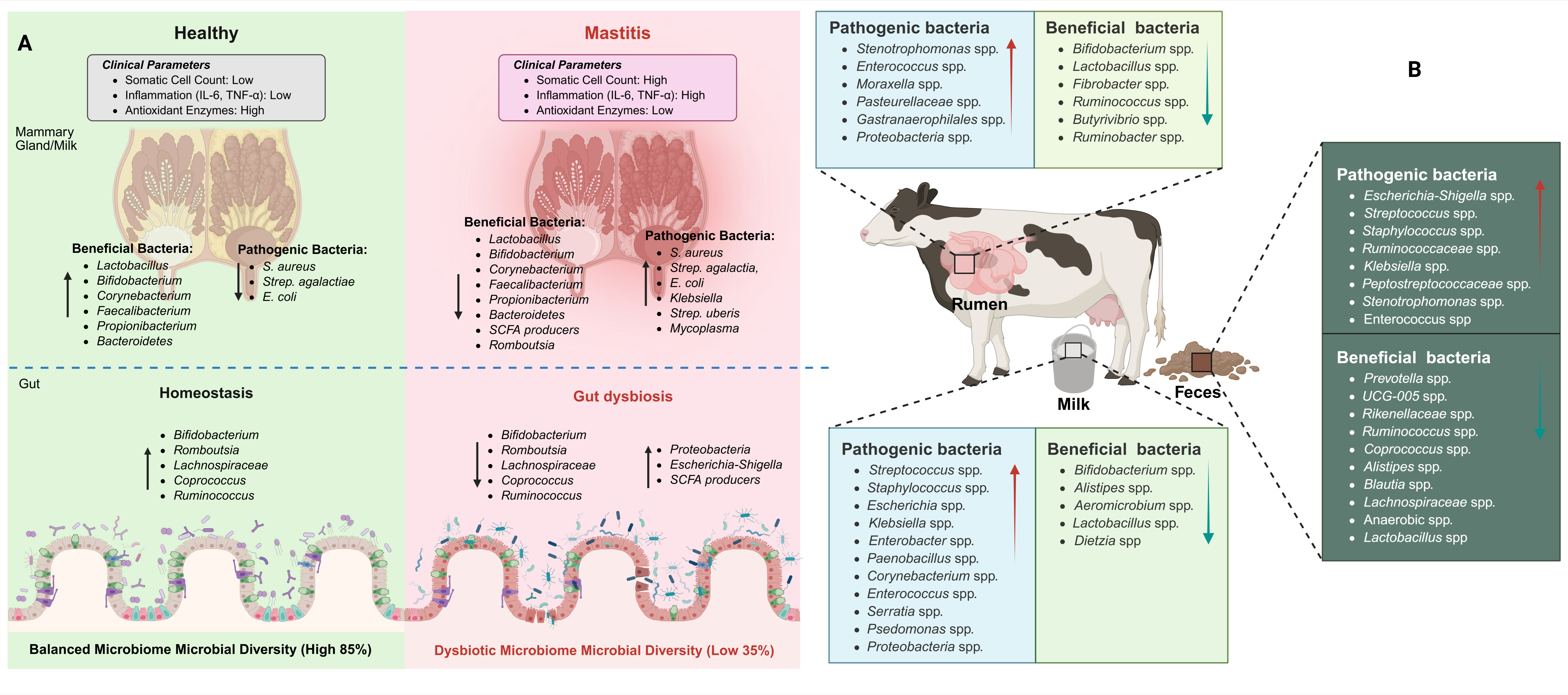 Vetsci 12 01049 g002 Vetsci 12 01049 g002