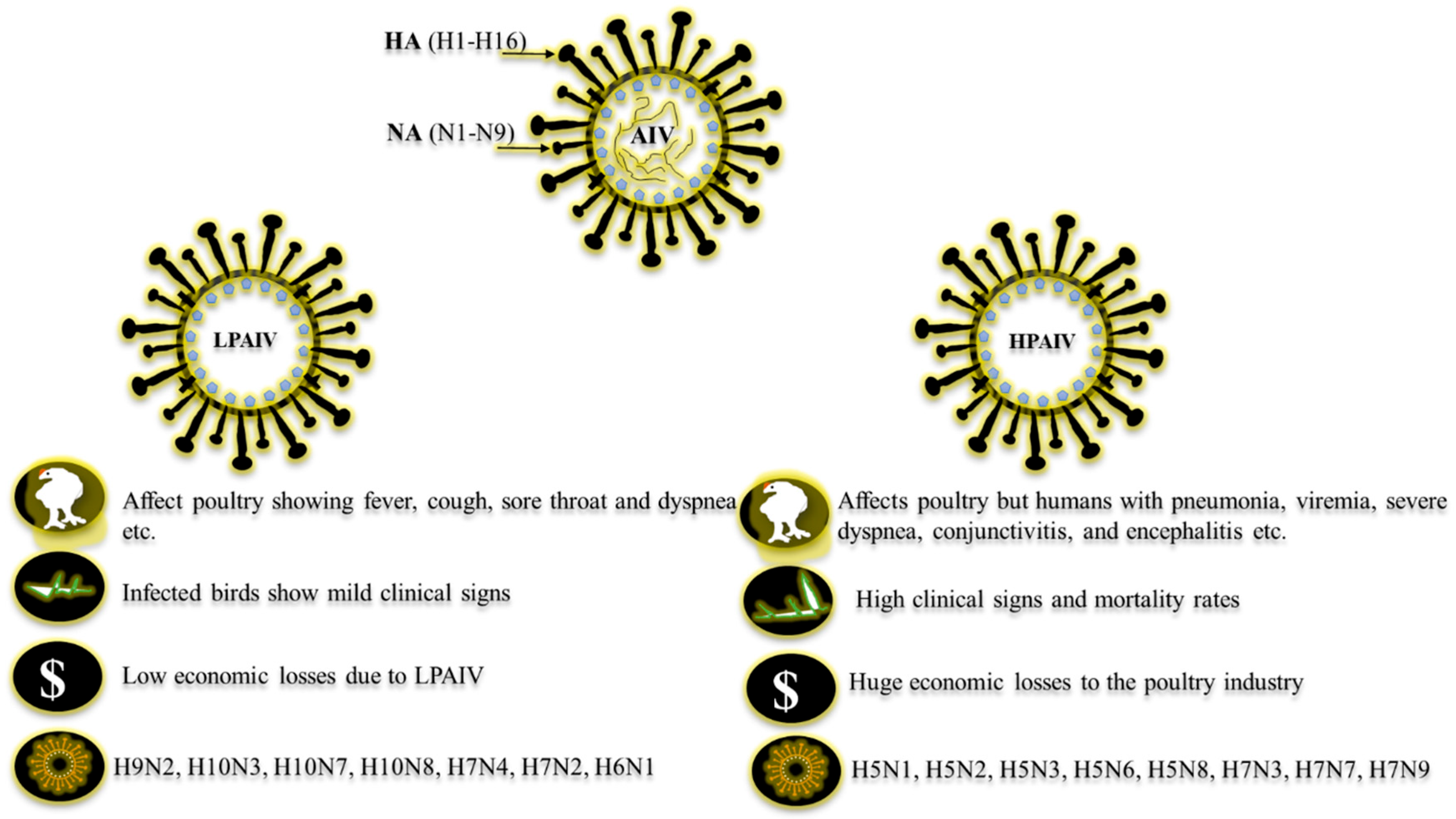 Vetsci 12 01052 g001