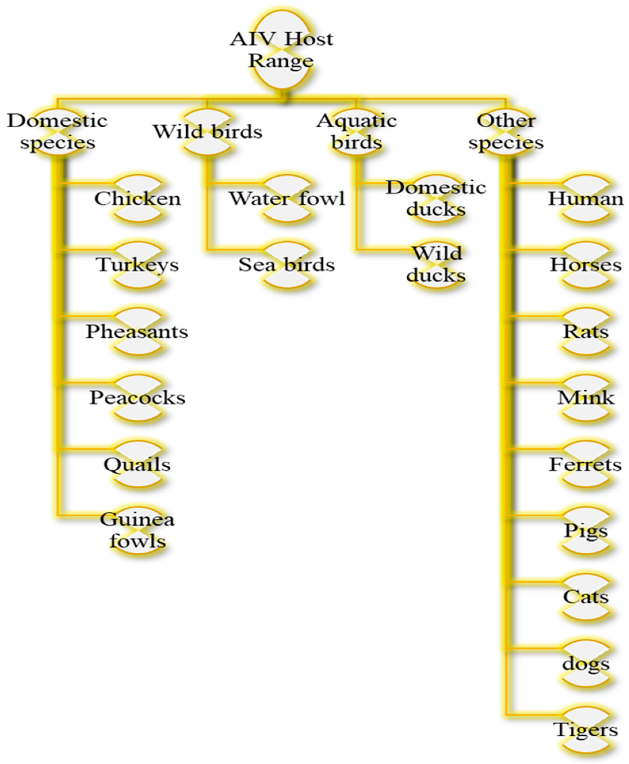 Vetsci 12 01052 g002