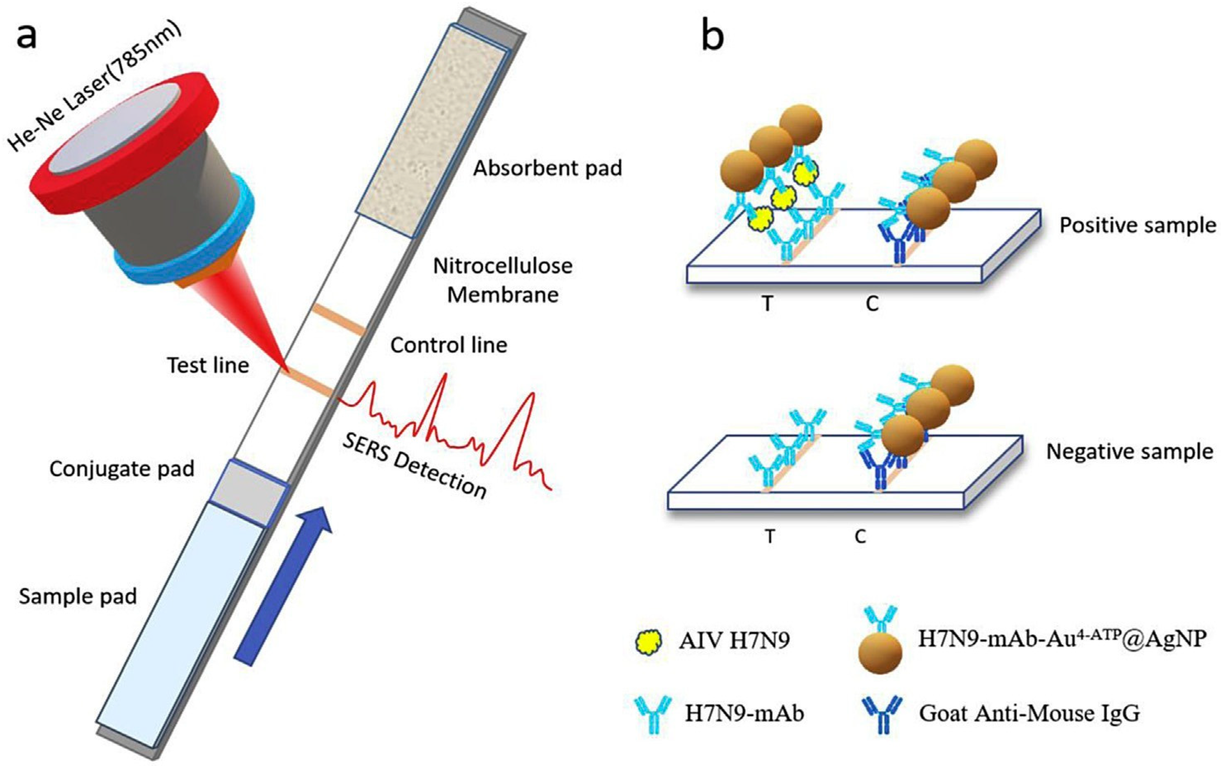 Vetsci 12 01052 g004