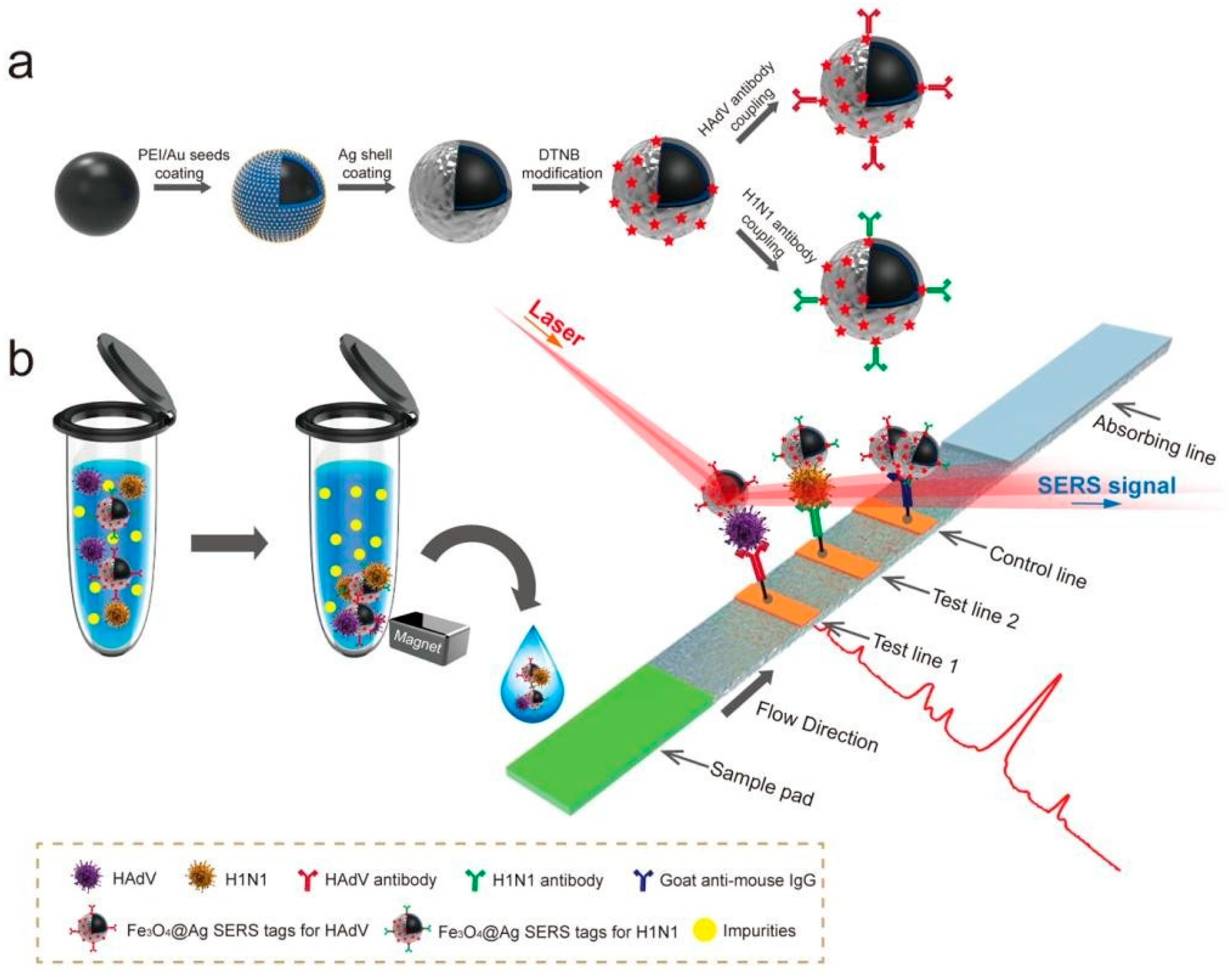 Vetsci 12 01052 g006