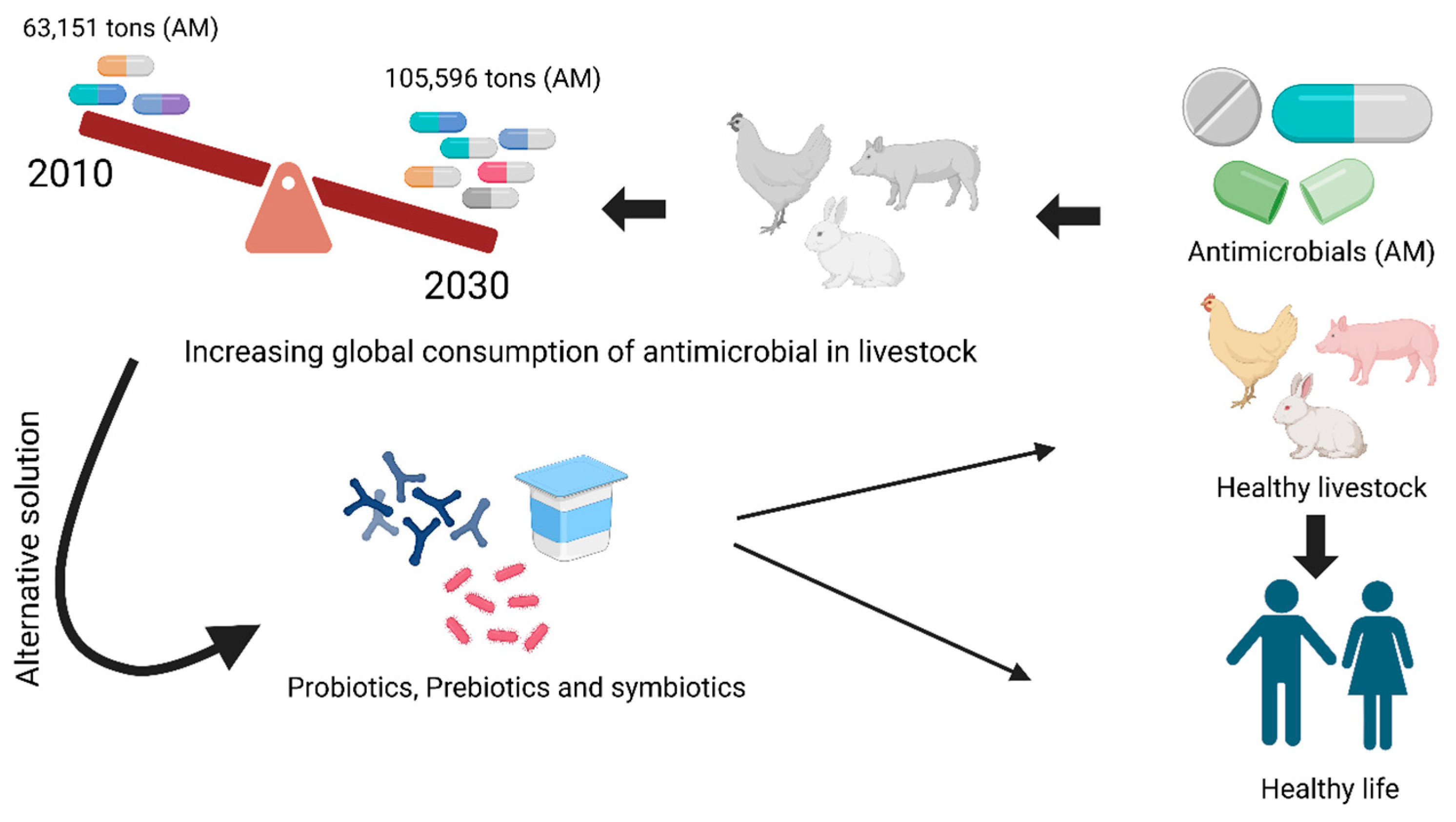 Vetsci 12 01054 g001