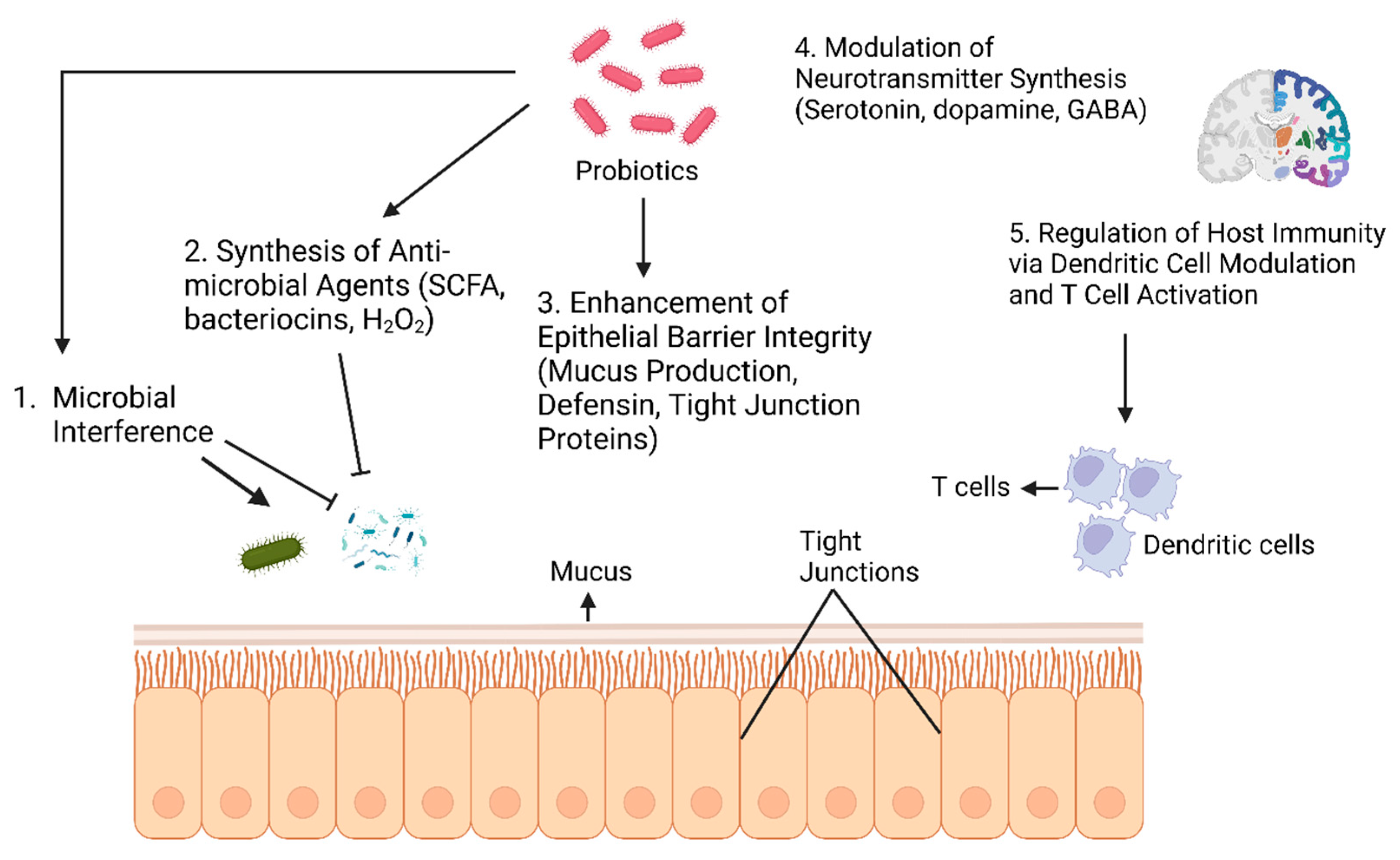 Vetsci 12 01054 g002