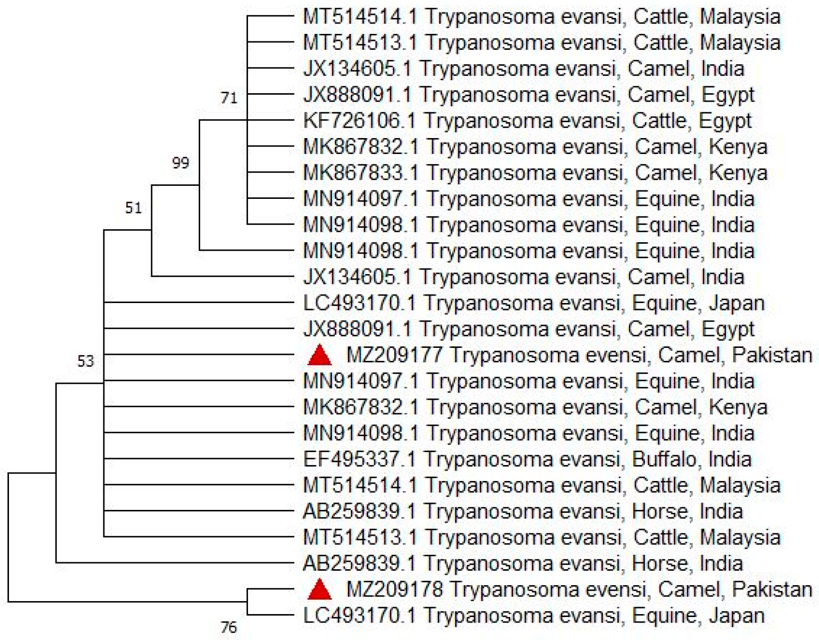 Vetsci 12 01055 g006 Vetsci 12 01055 g006