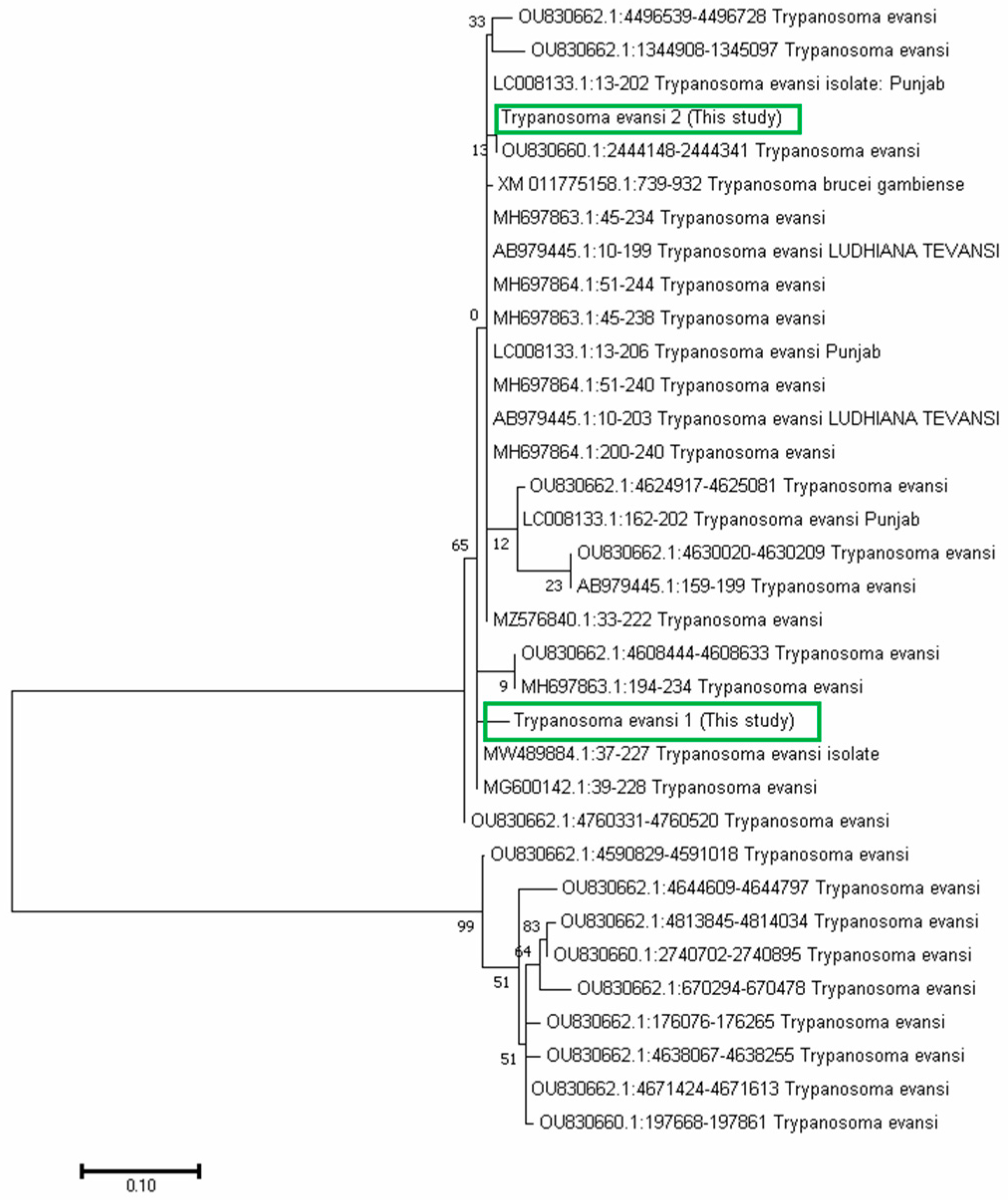 Vetsci 12 01055 g007 Vetsci 12 01055 g007