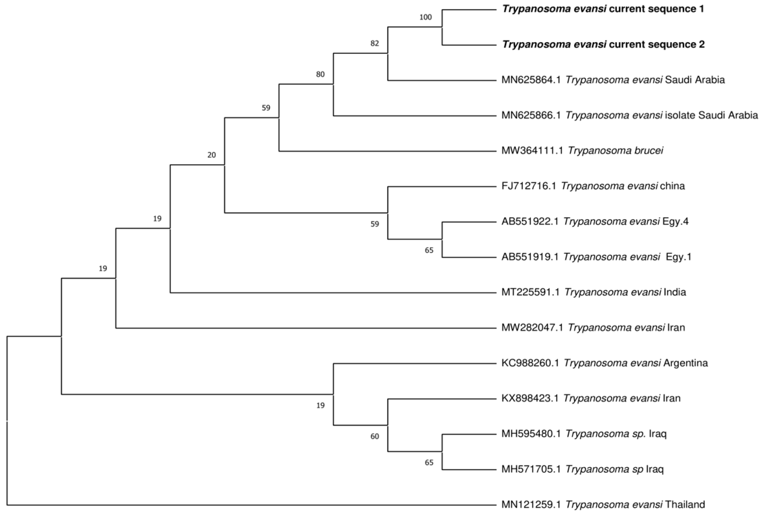 Vetsci 12 01055 g008 Vetsci 12 01055 g008