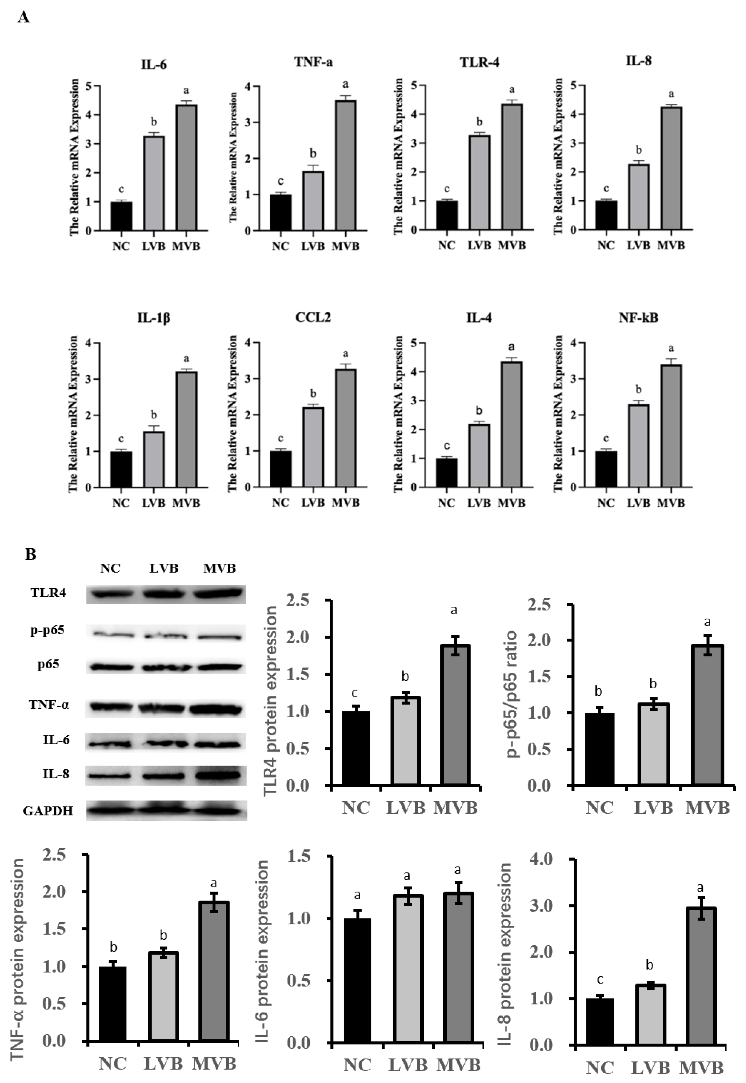 Vetsci 12 01057 g003