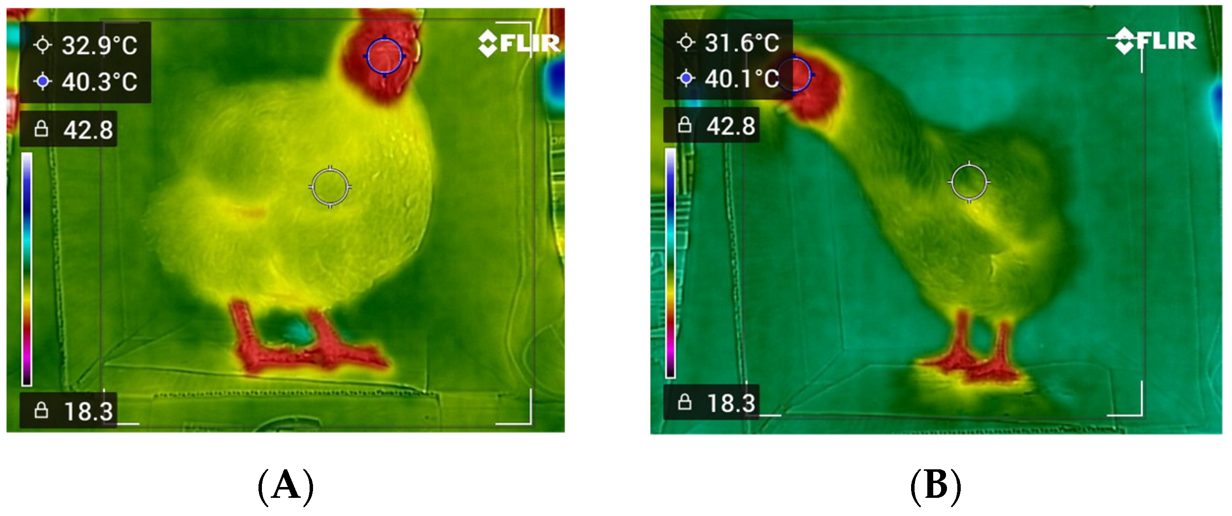 Vetsci 12 01062 g001