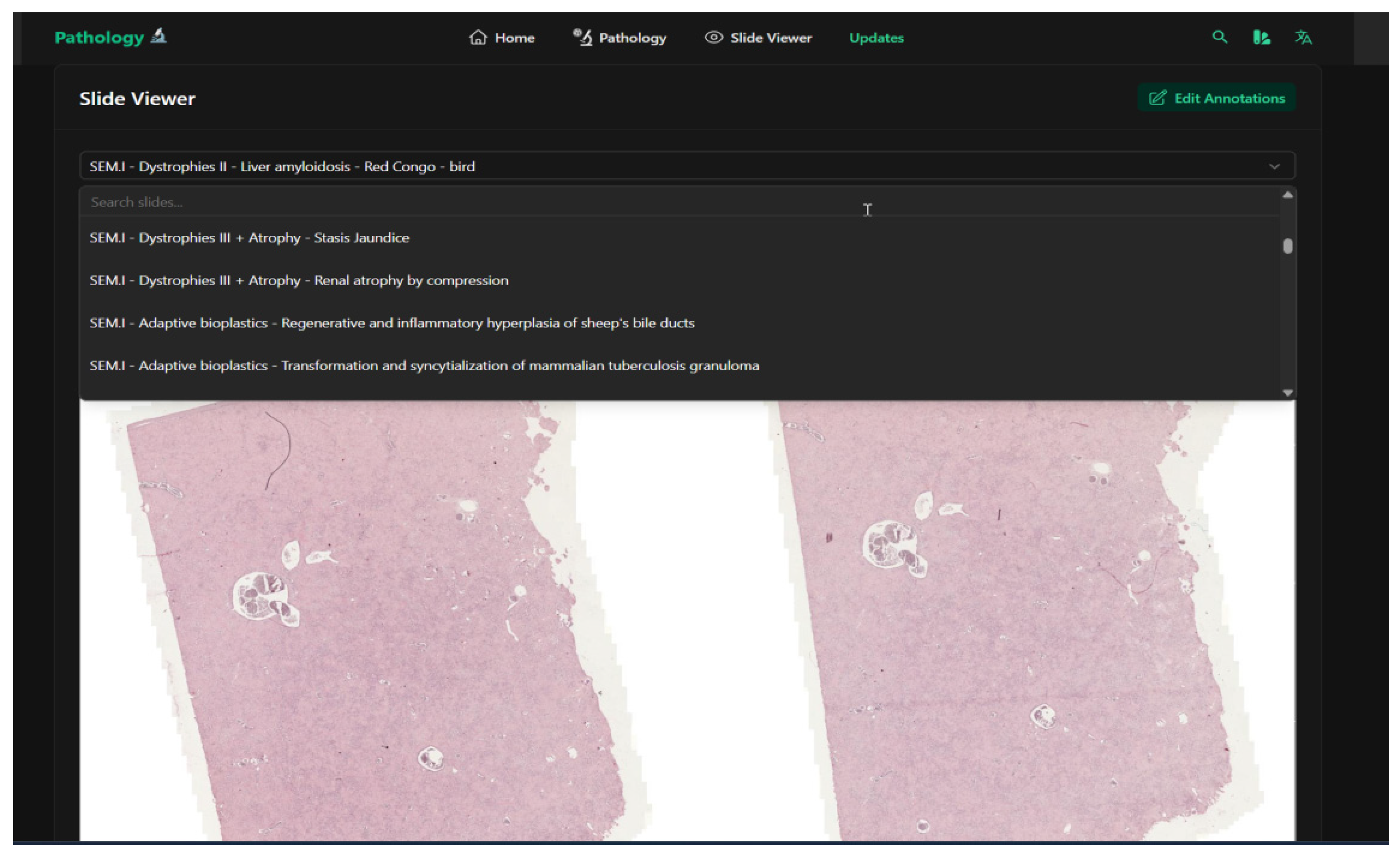 Vetsci 12 01064 g002