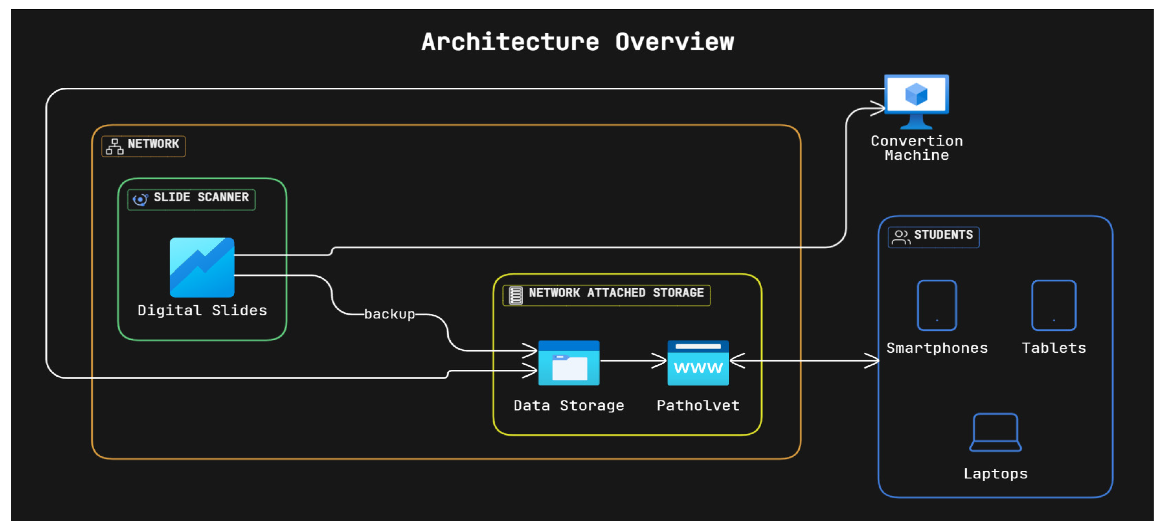 Vetsci 12 01064 g003