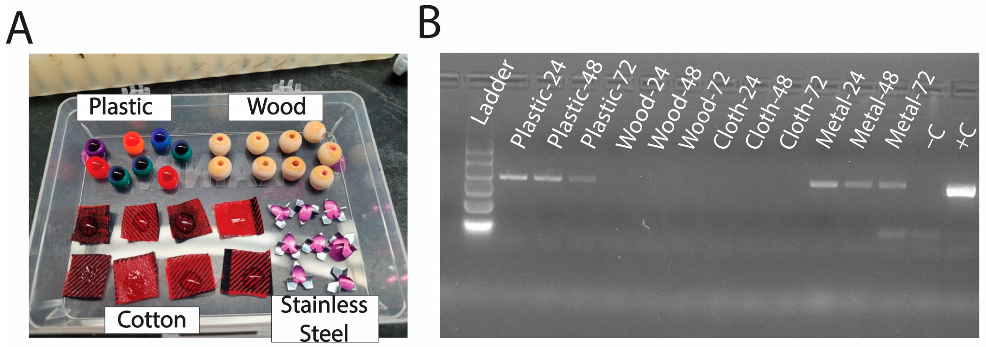 Vetsci 12 01065 g001