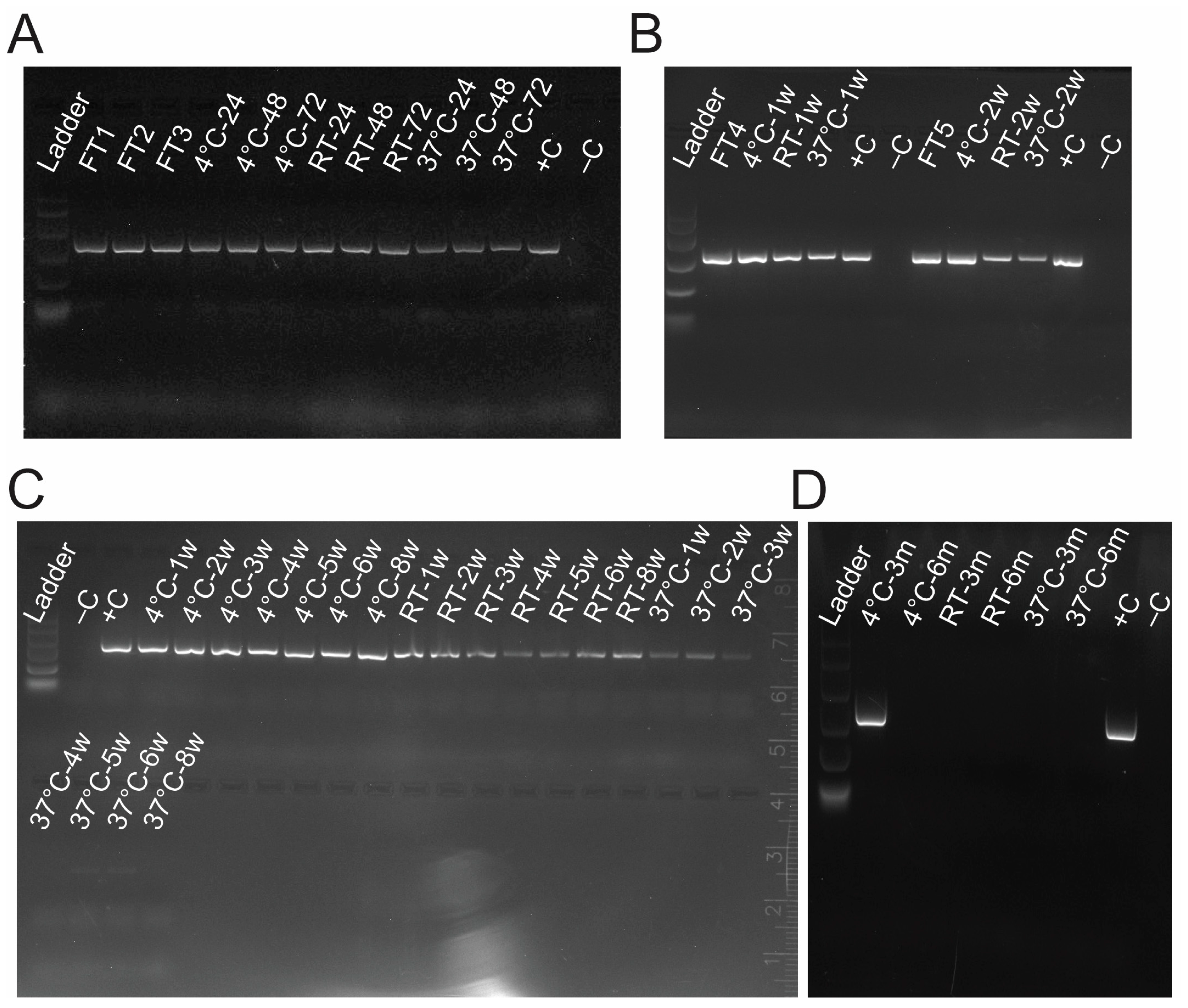 Vetsci 12 01065 g002