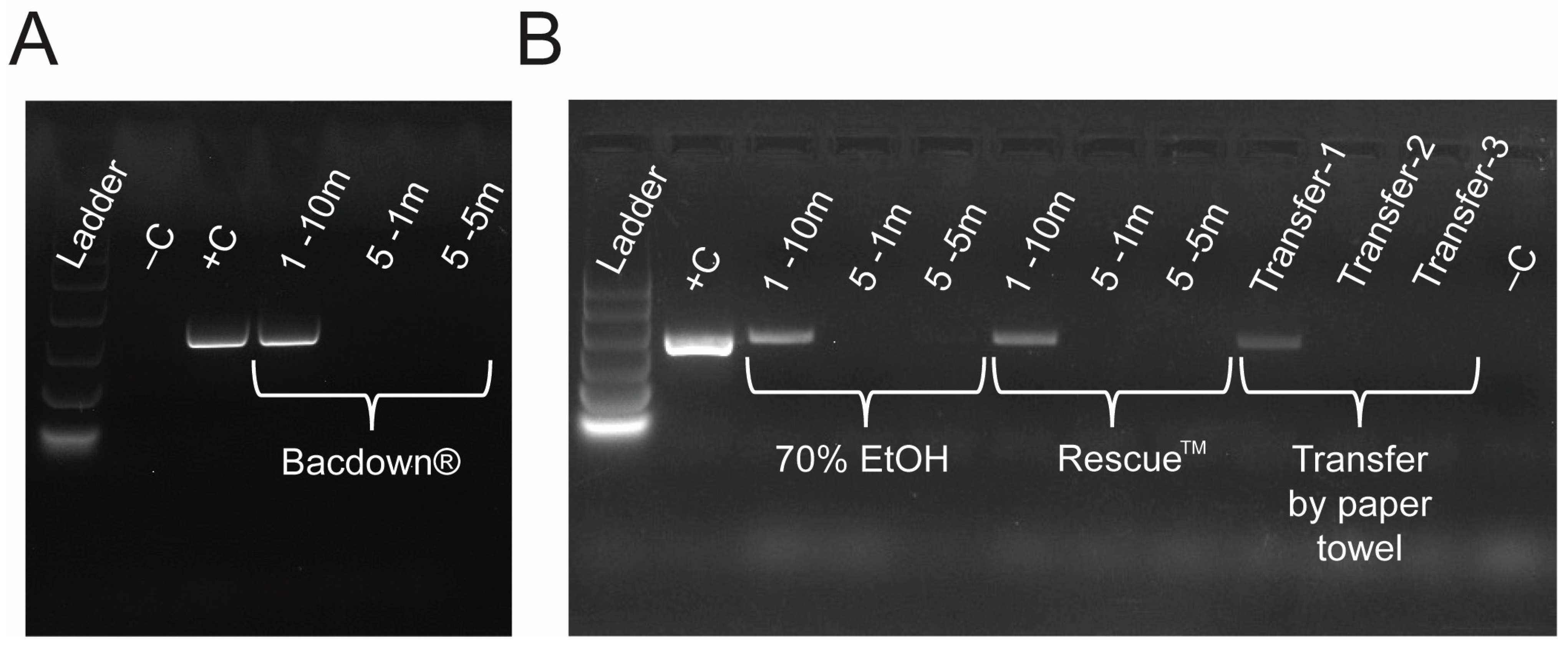 Vetsci 12 01065 g005