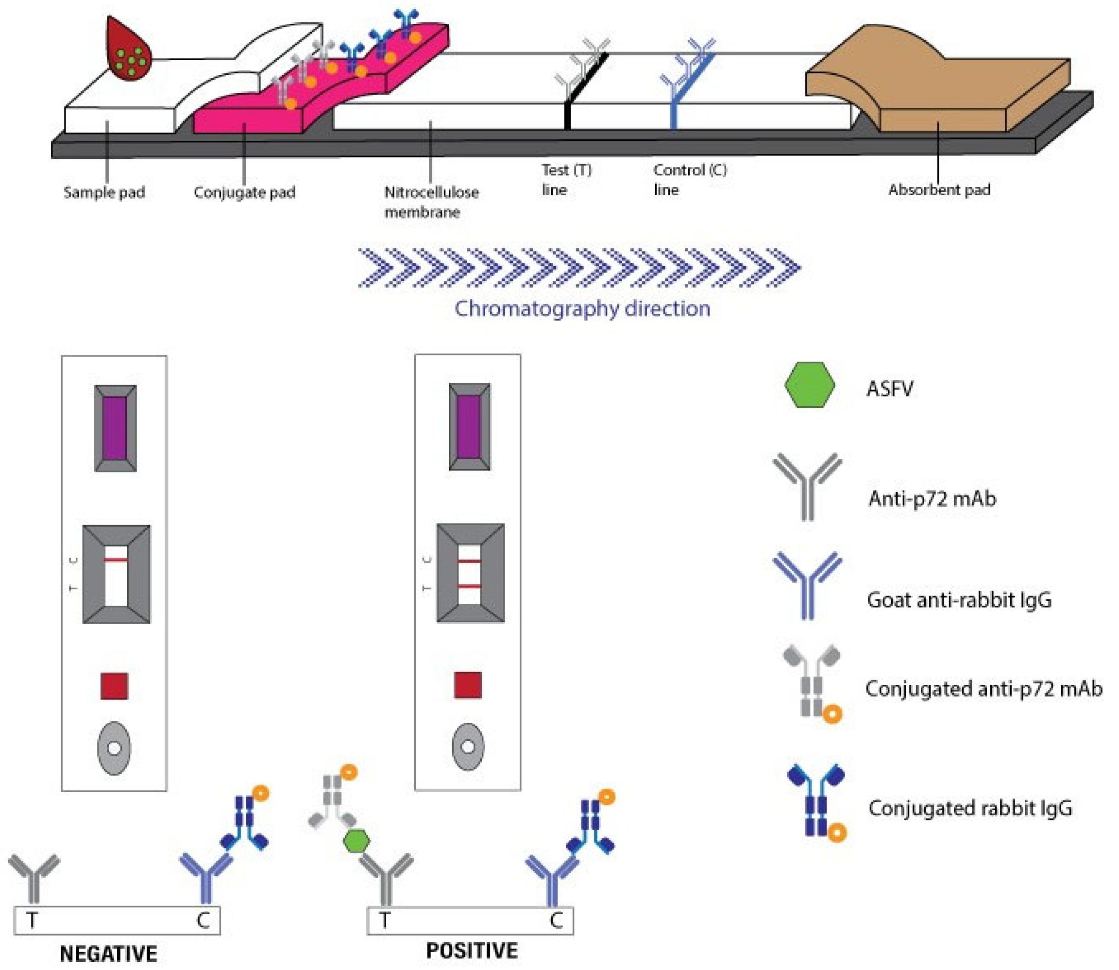 Vetsci 12 01068 g001