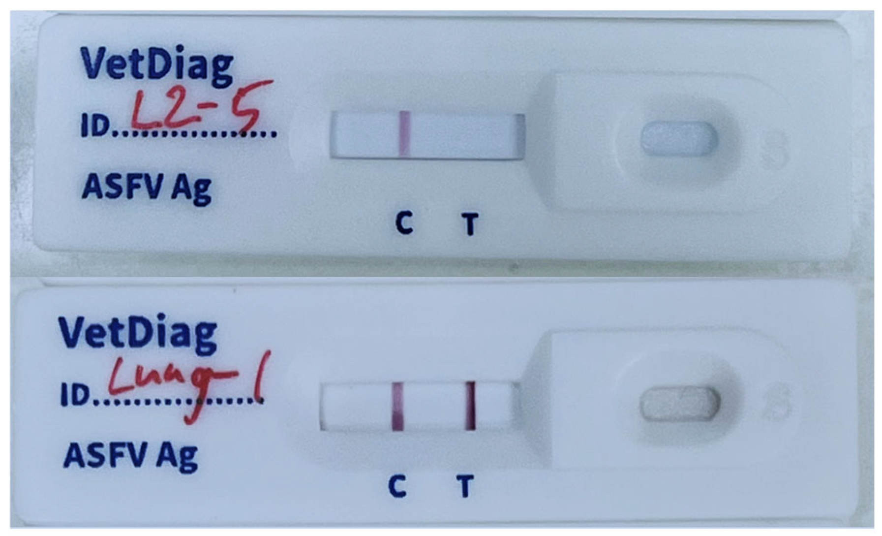 Vetsci 12 01068 g002