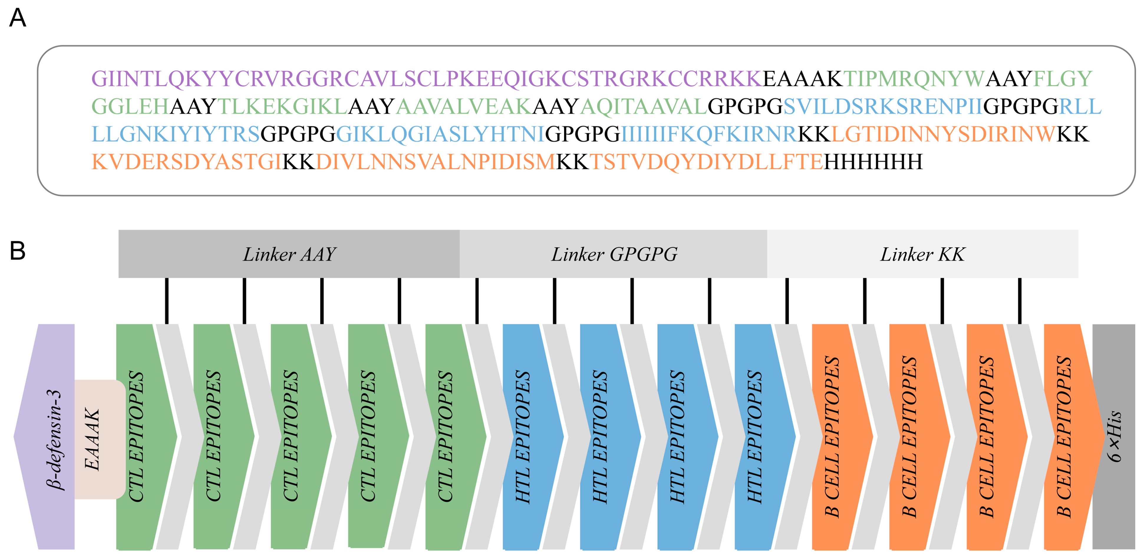 Vetsci 12 01074 g002