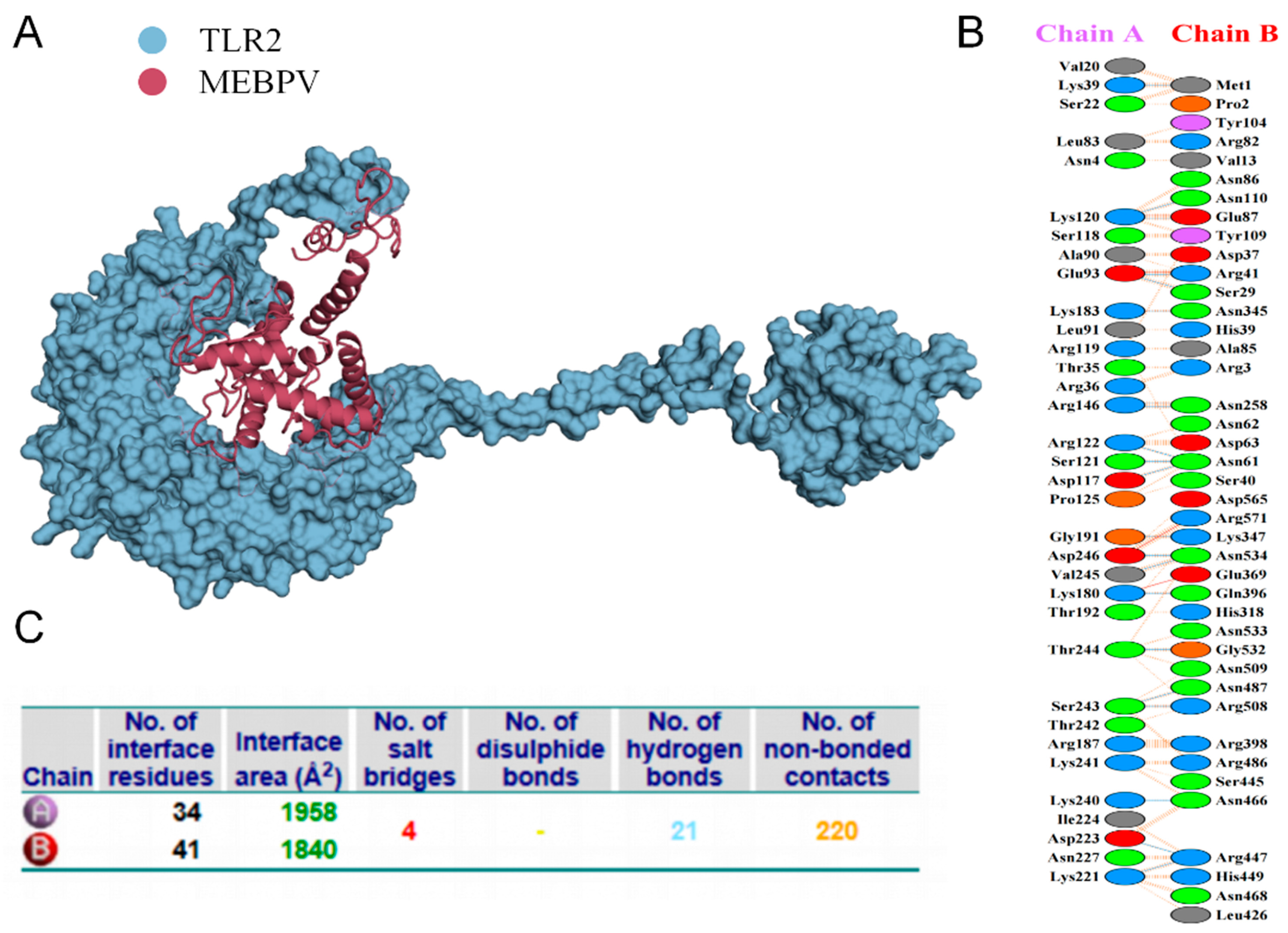 Vetsci 12 01074 g006