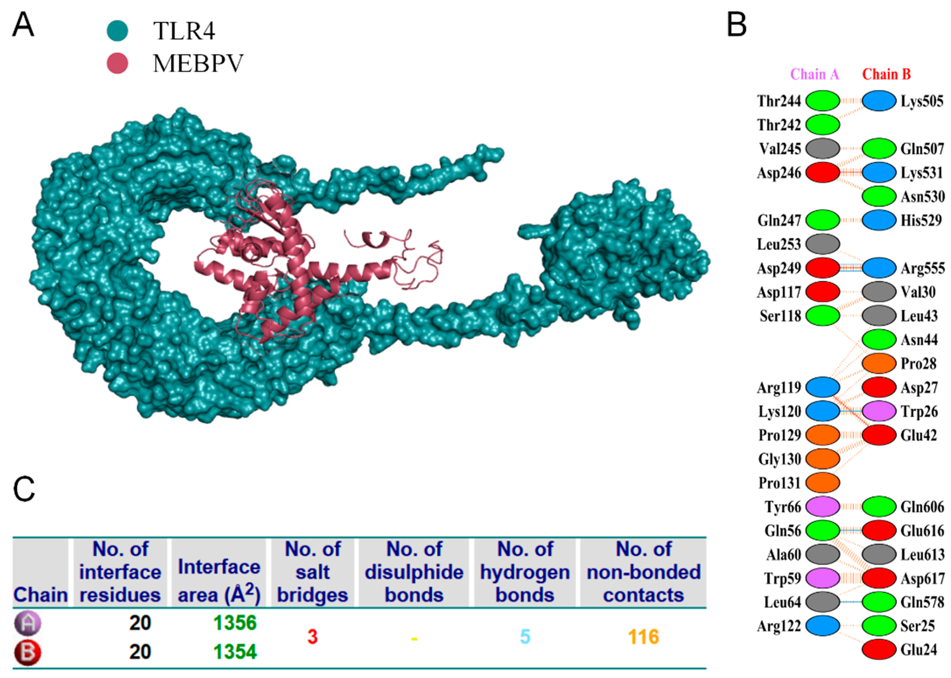 Vetsci 12 01074 g008