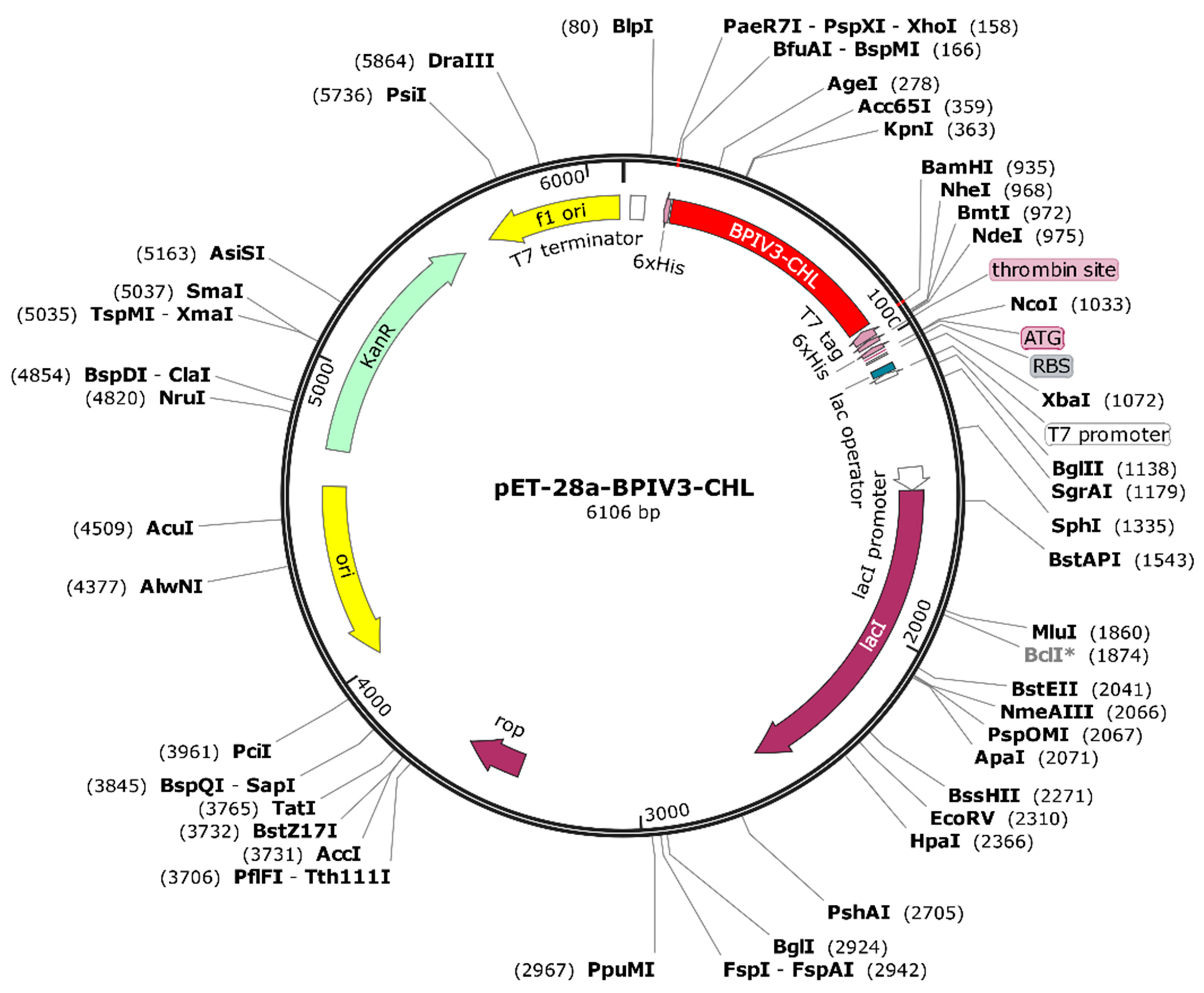 Vetsci 12 01074 g013