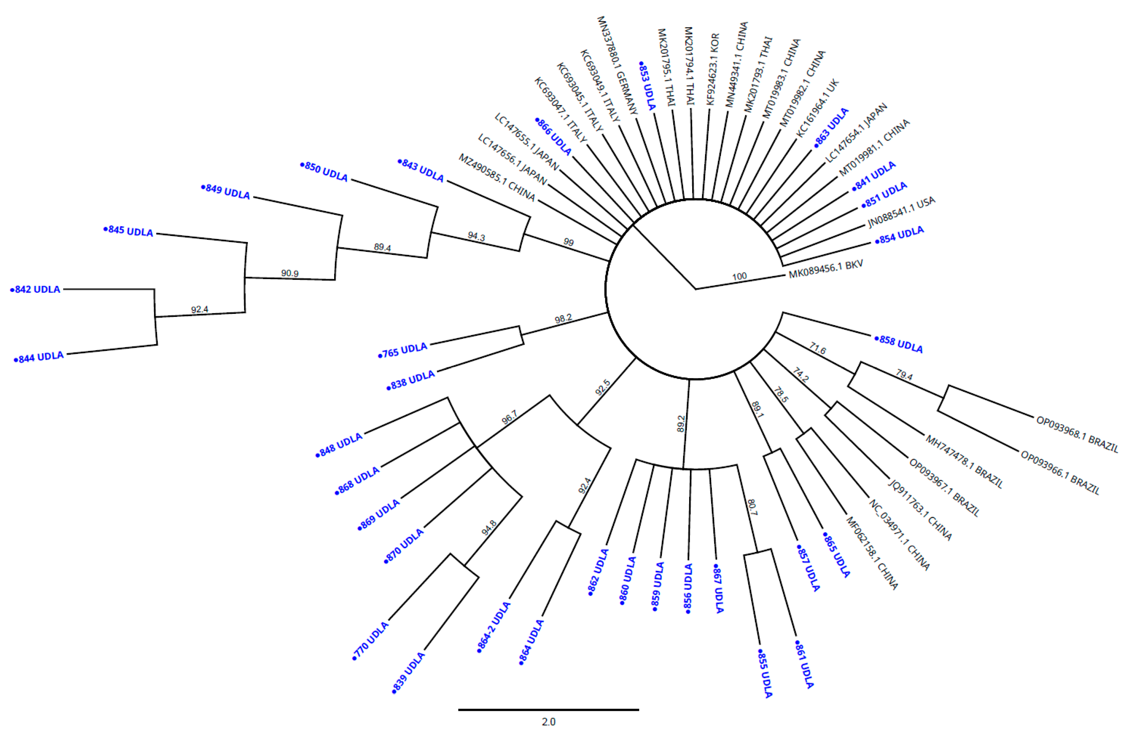 Vetsci 12 01076 g004