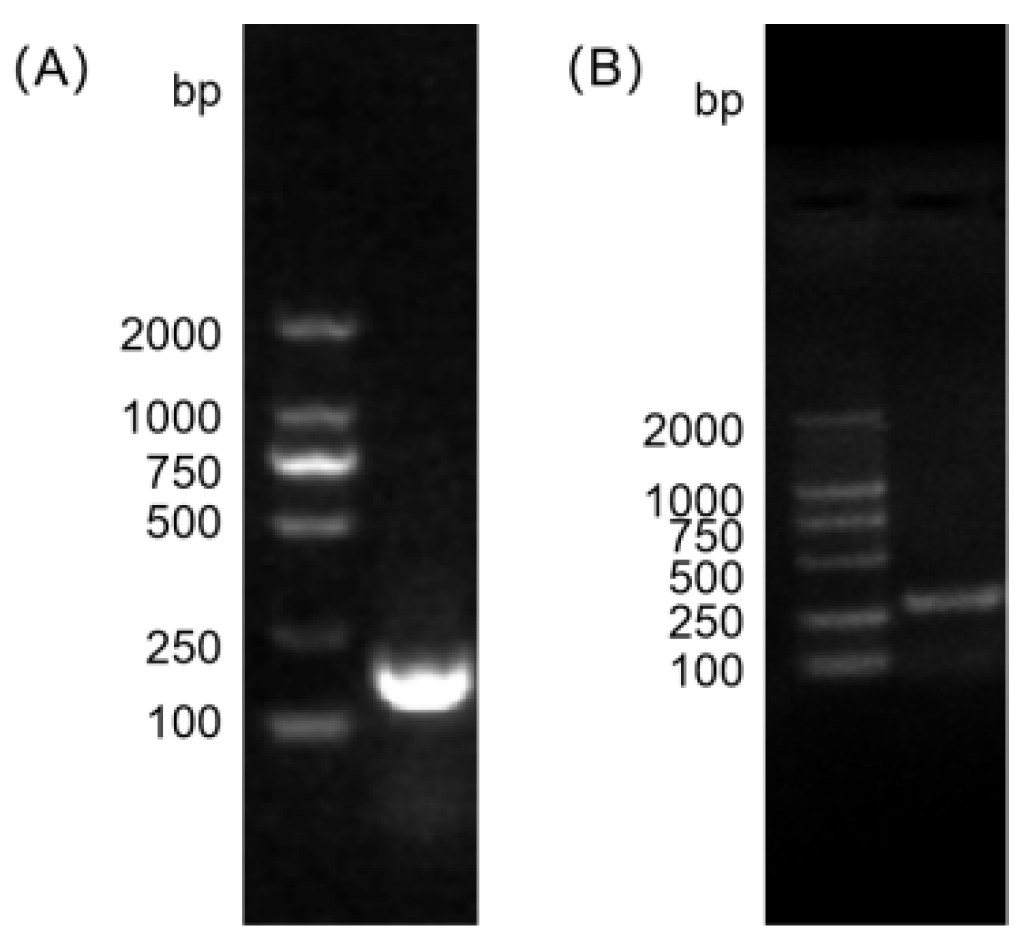 Vetsci 12 01077 g001