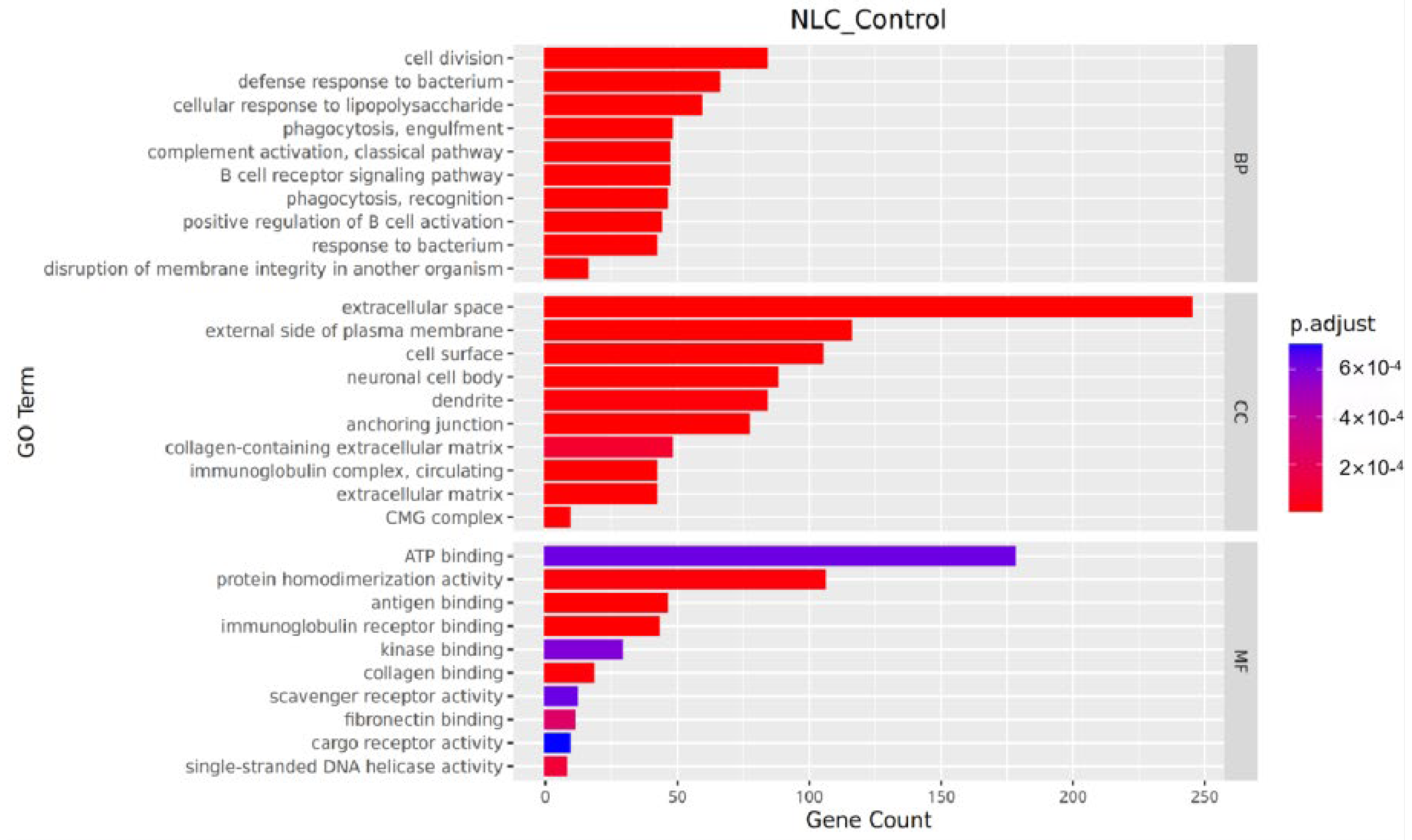 Vetsci 12 01077 g006