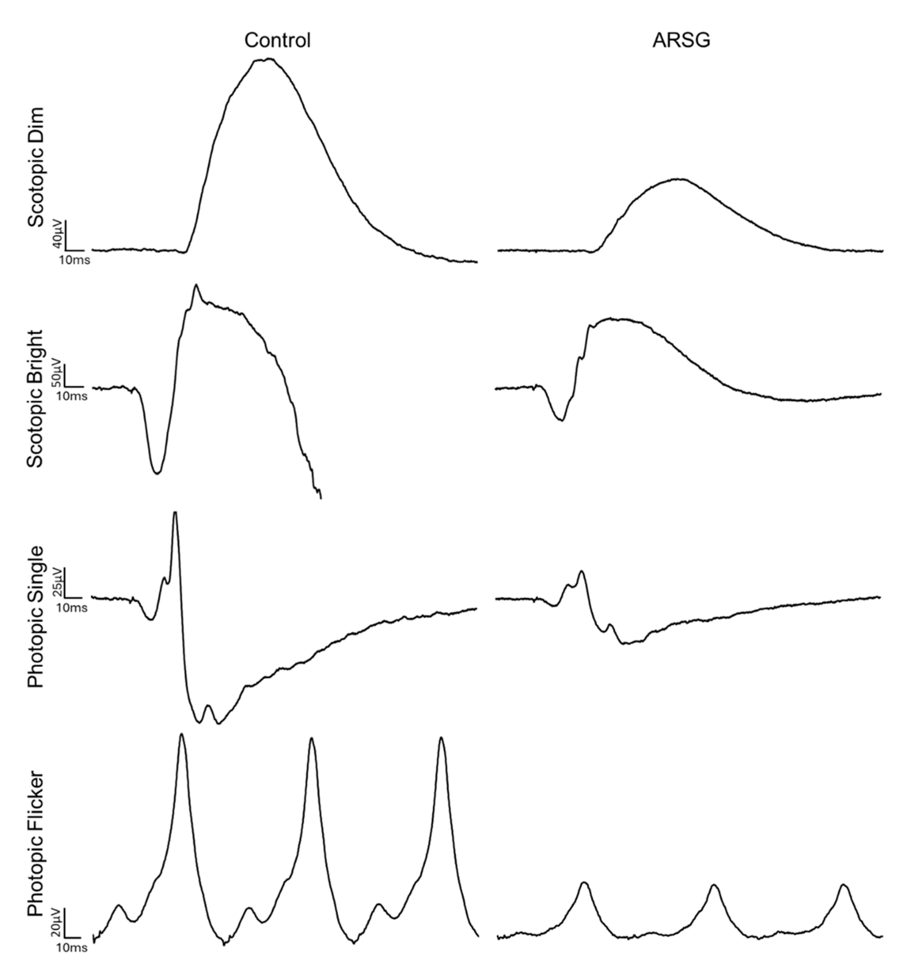 Vetsci 12 01078 g001