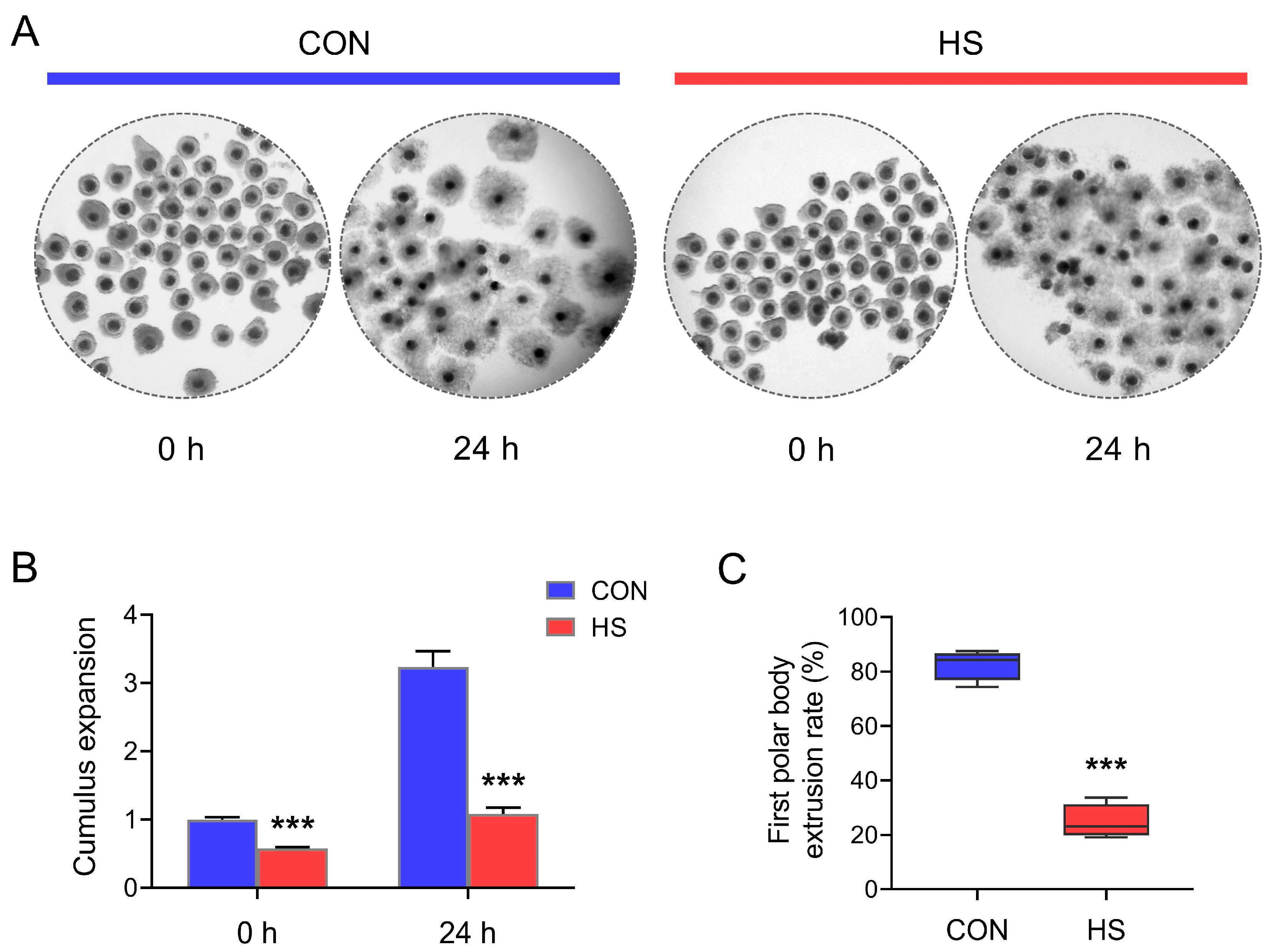 Vetsci 12 01087 g001
