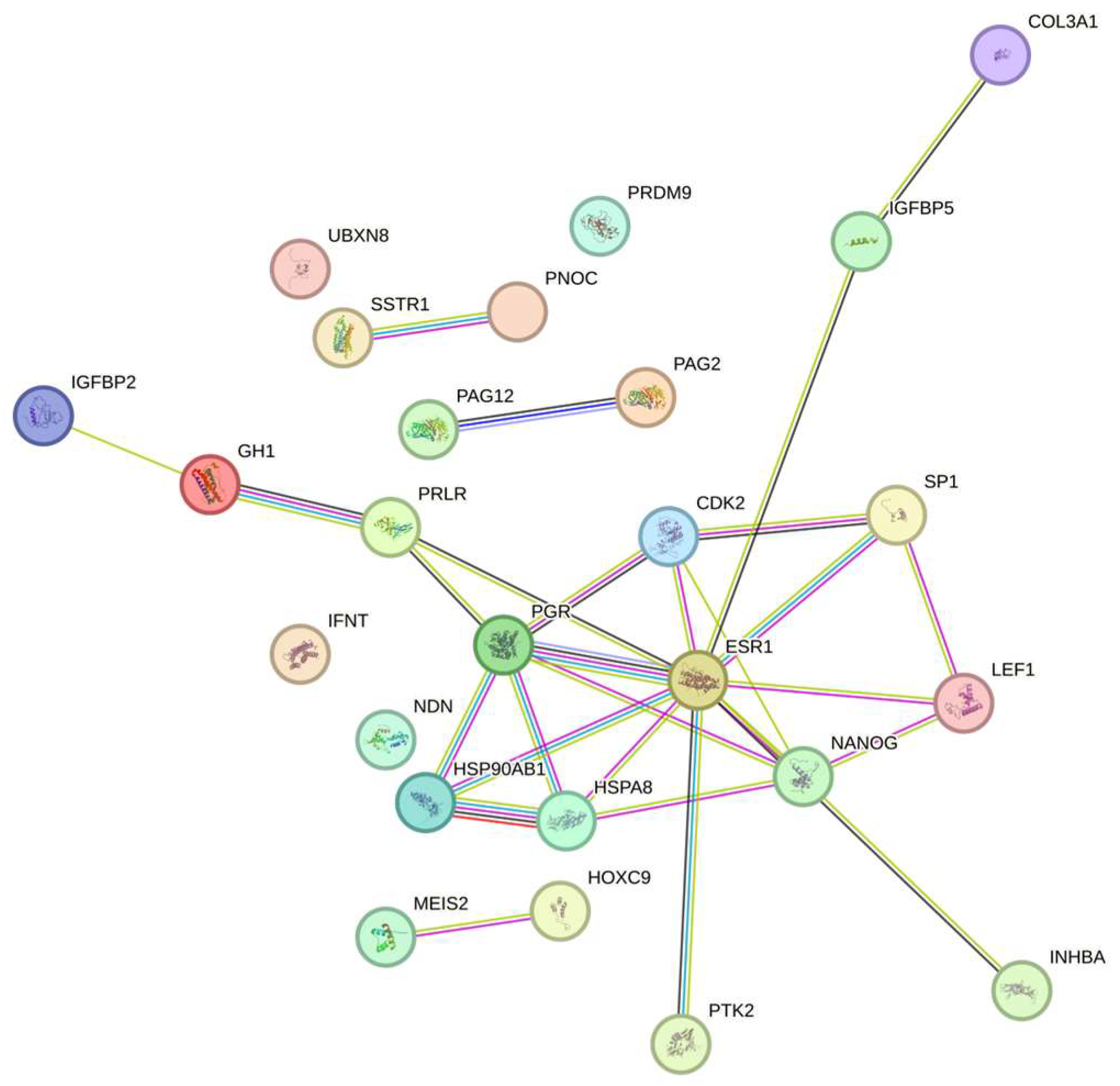 Vetsci 12 01092 g001