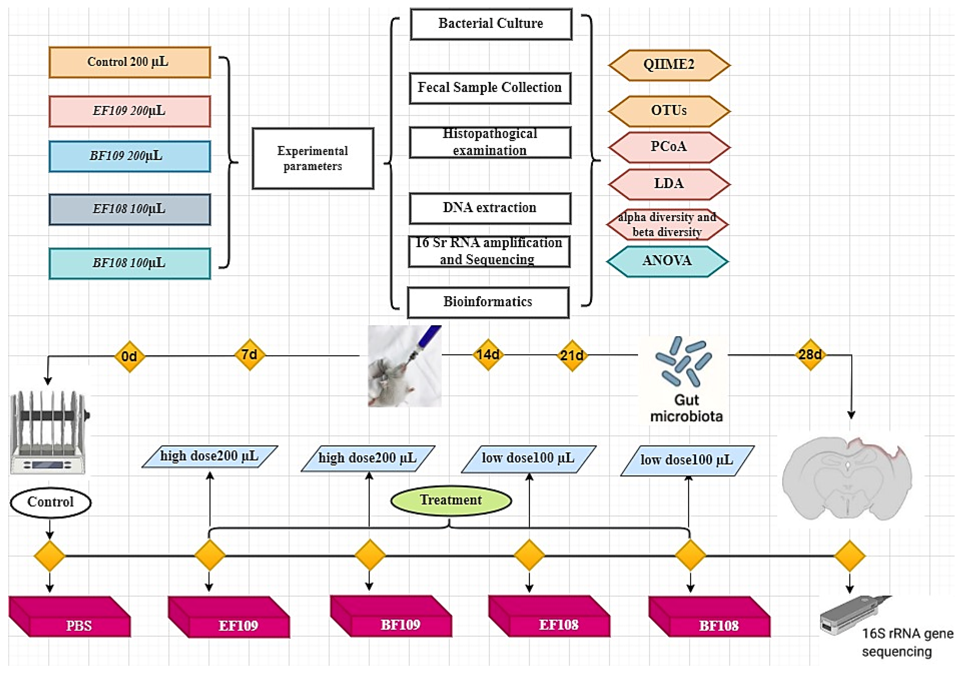 Vetsci 12 01093 g001 Vetsci 12 01093 g001