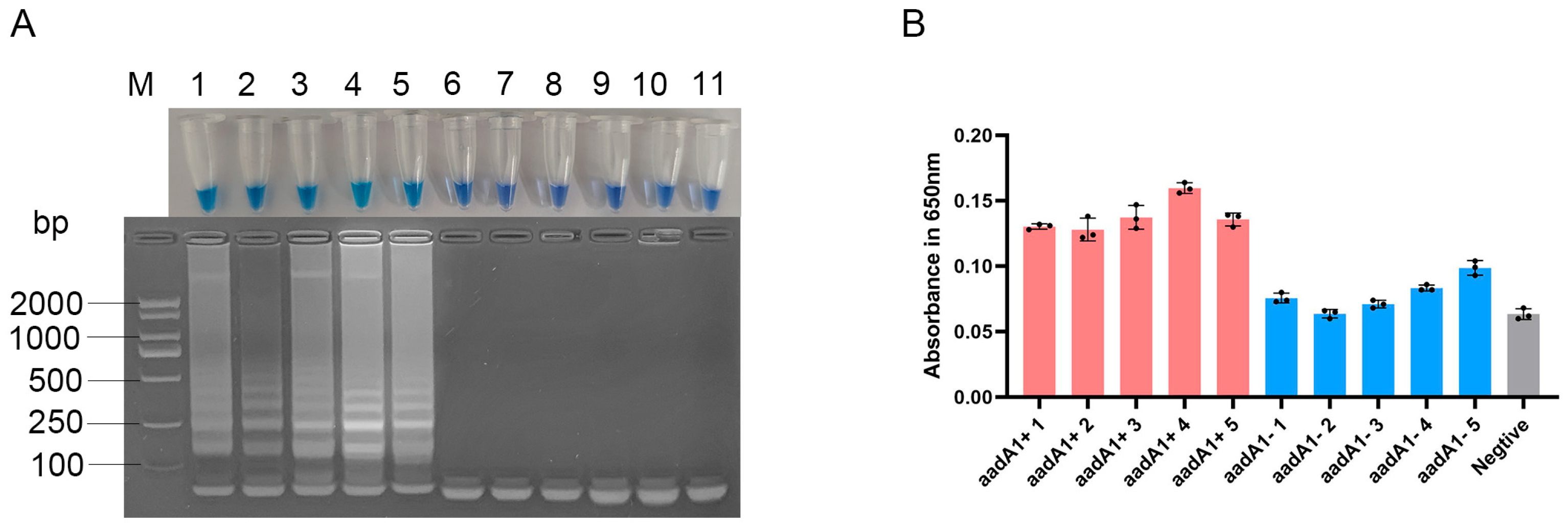 Vetsci 12 01094 g004 Vetsci 12 01094 g004