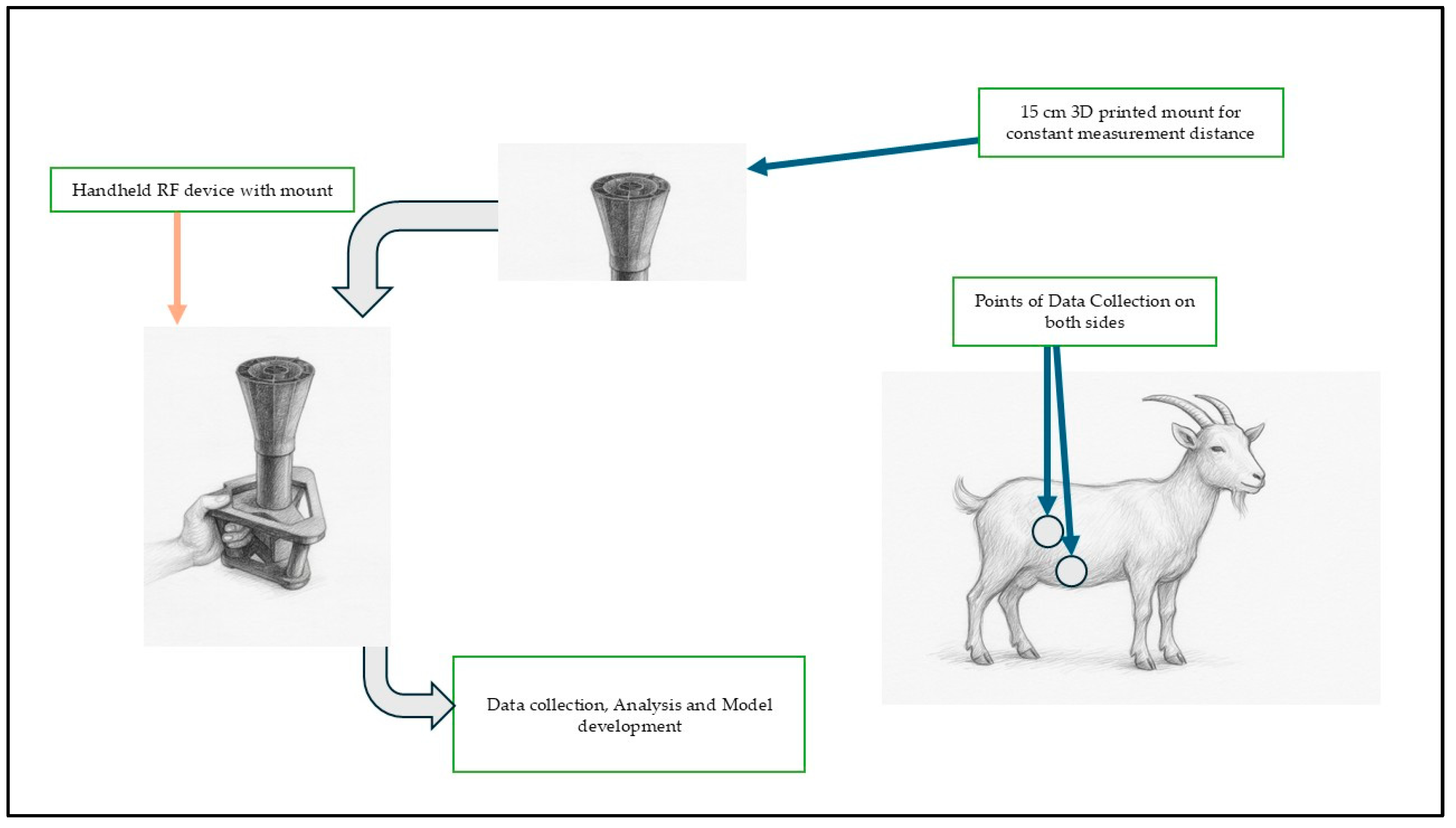 Vetsci 12 01096 g001