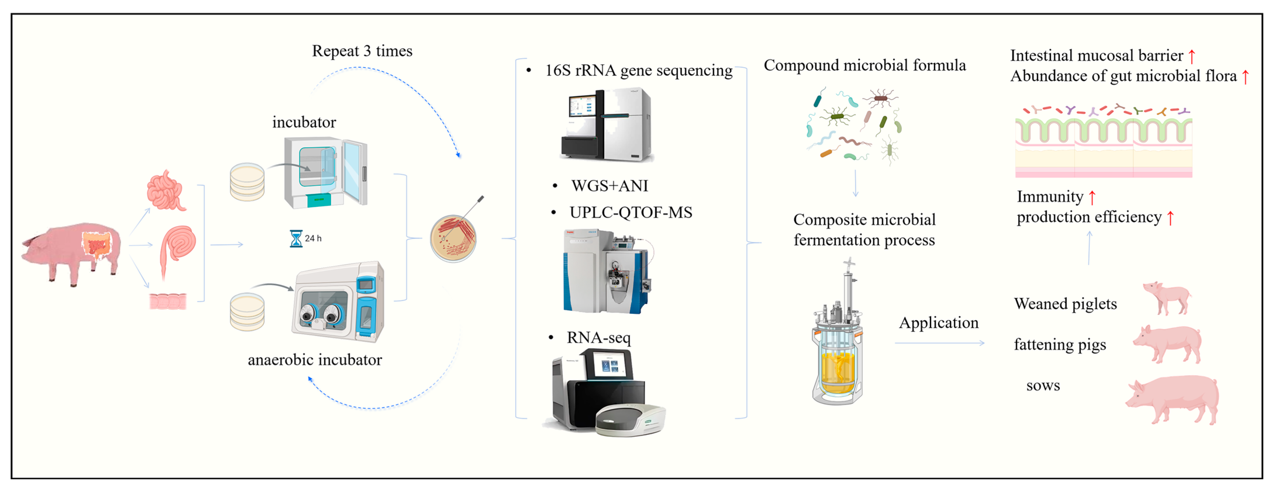 Vetsci 12 01100 g002 Vetsci 12 01100 g002
