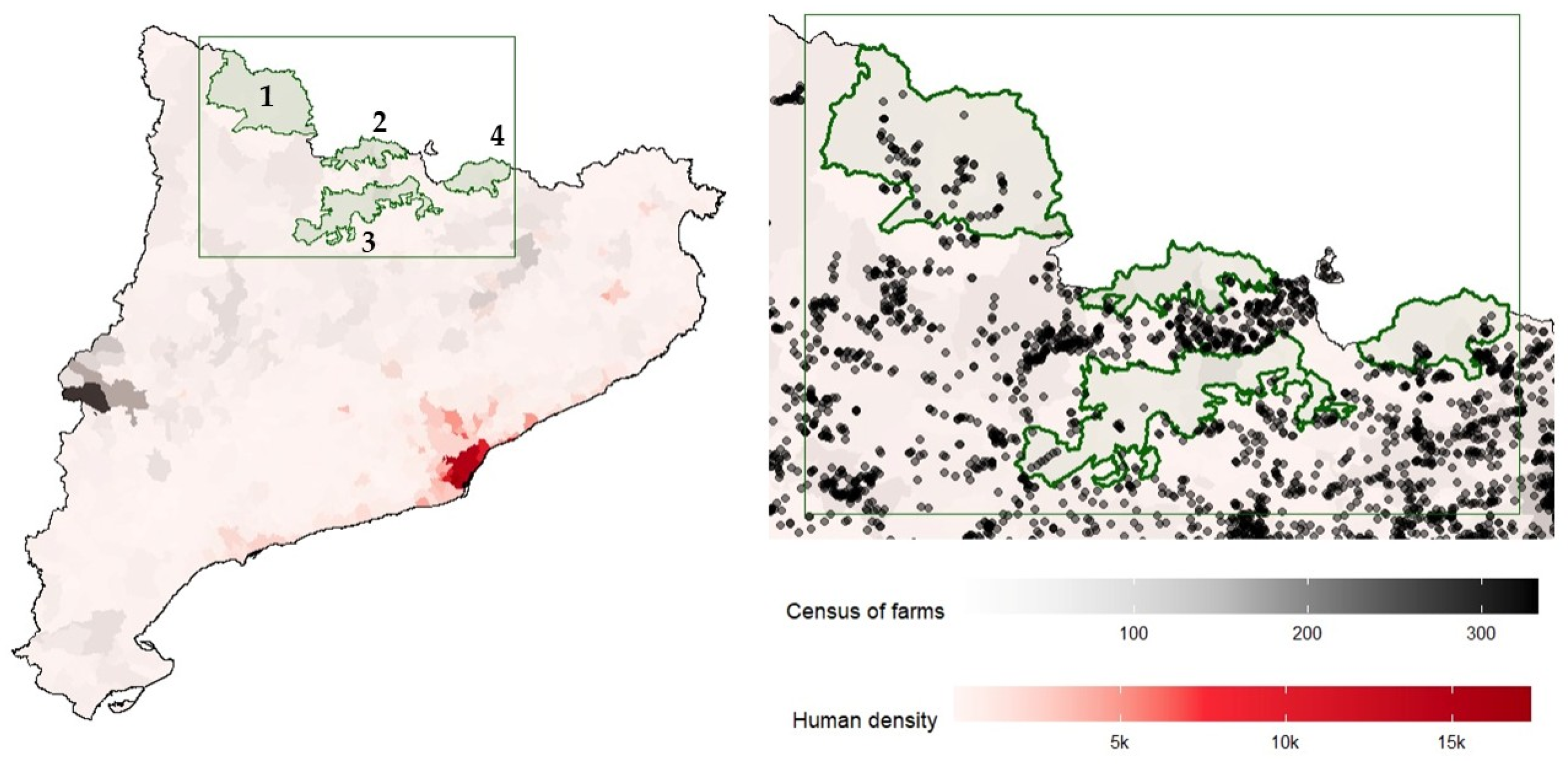 Vetsci 12 01101 g001