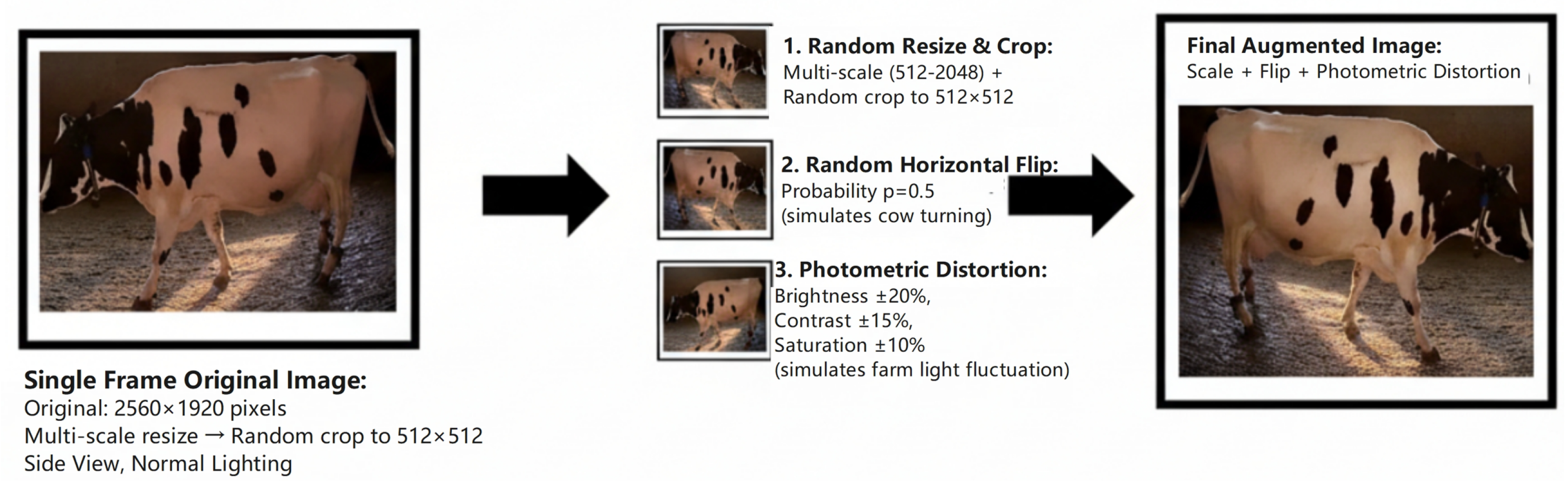 Vetsci 12 01104 g002 Vetsci 12 01104 g002