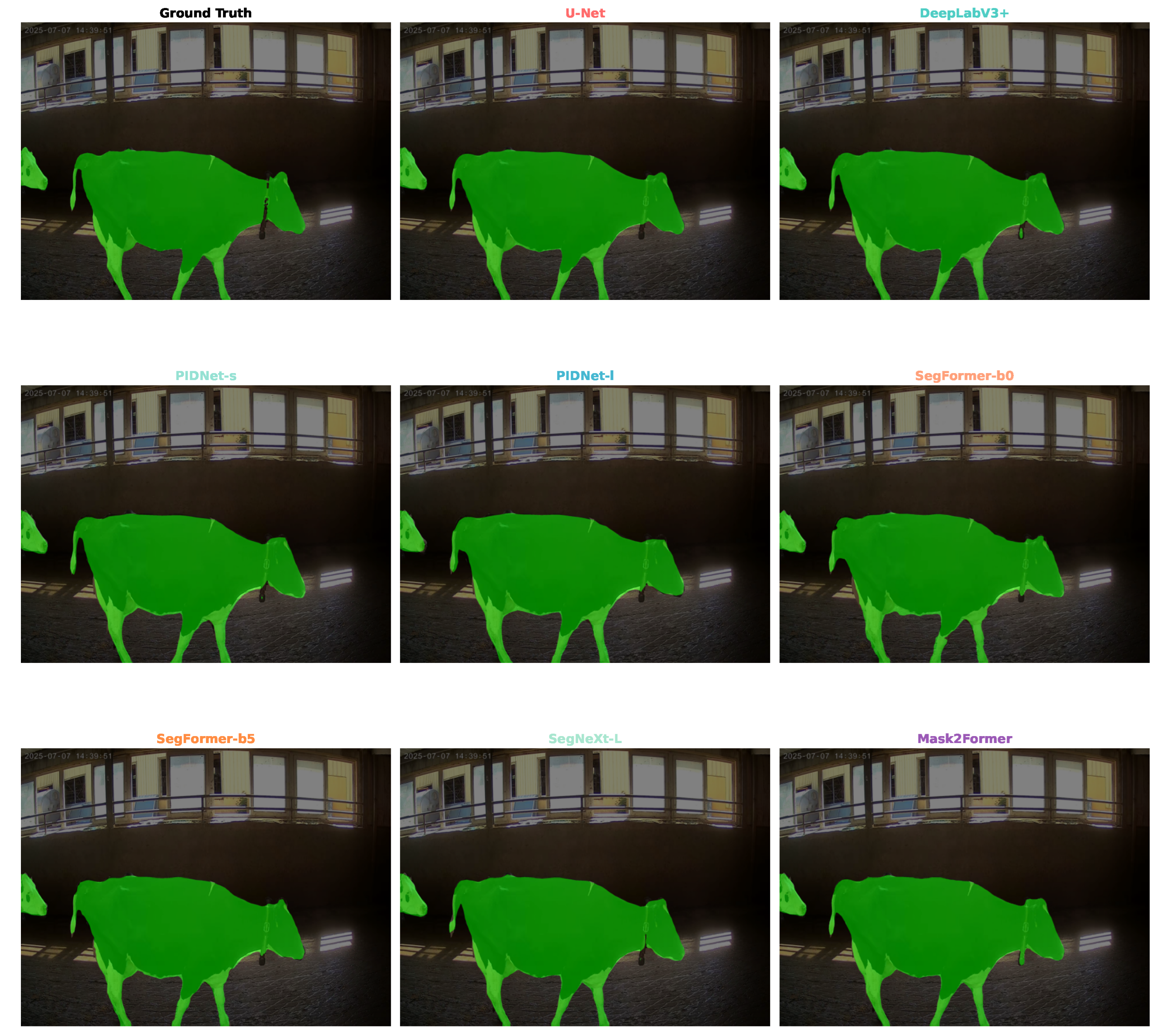 Vetsci 12 01104 g004 Vetsci 12 01104 g004