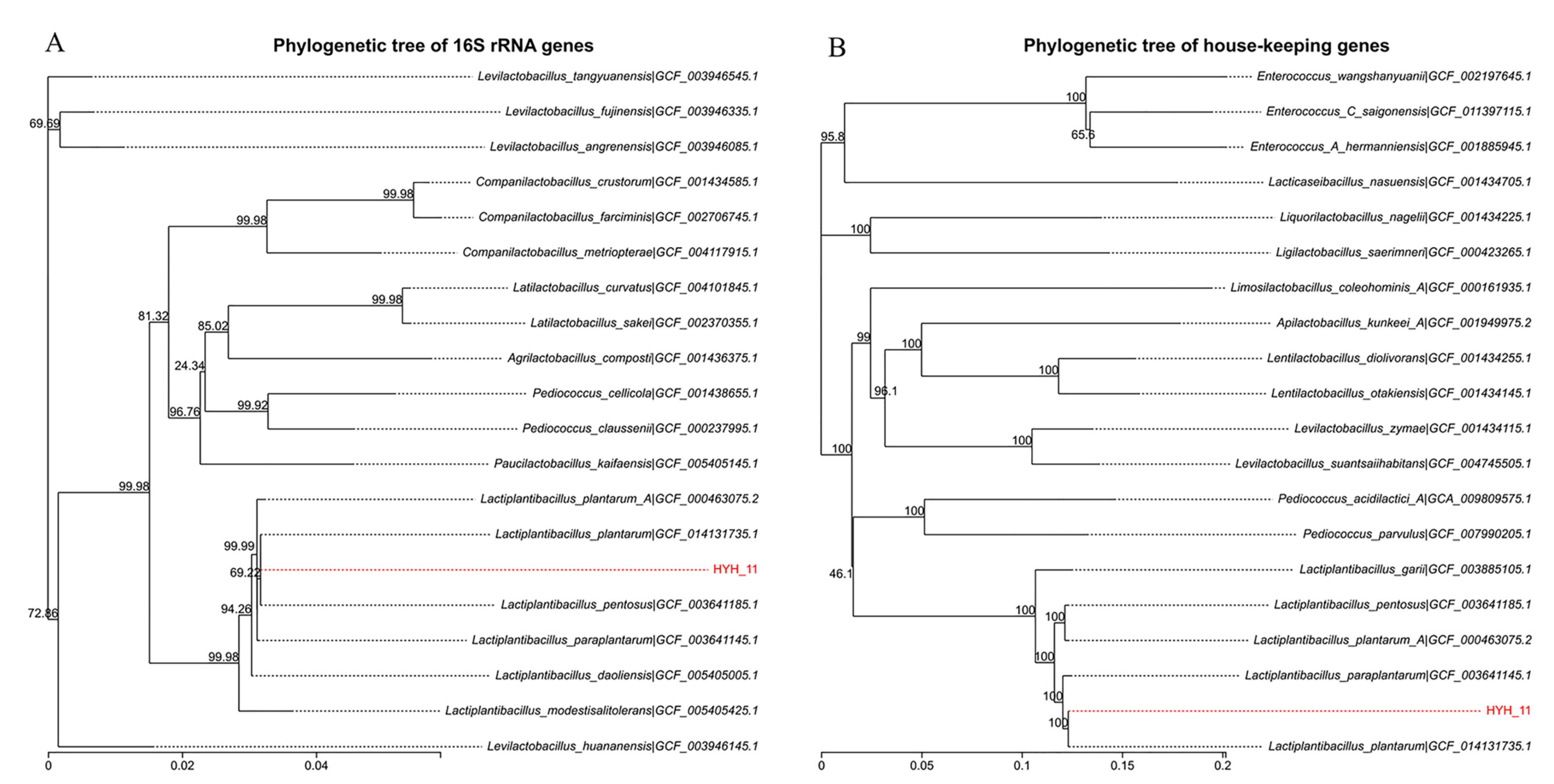 Vetsci 12 01165 g001 Vetsci 12 01165 g001