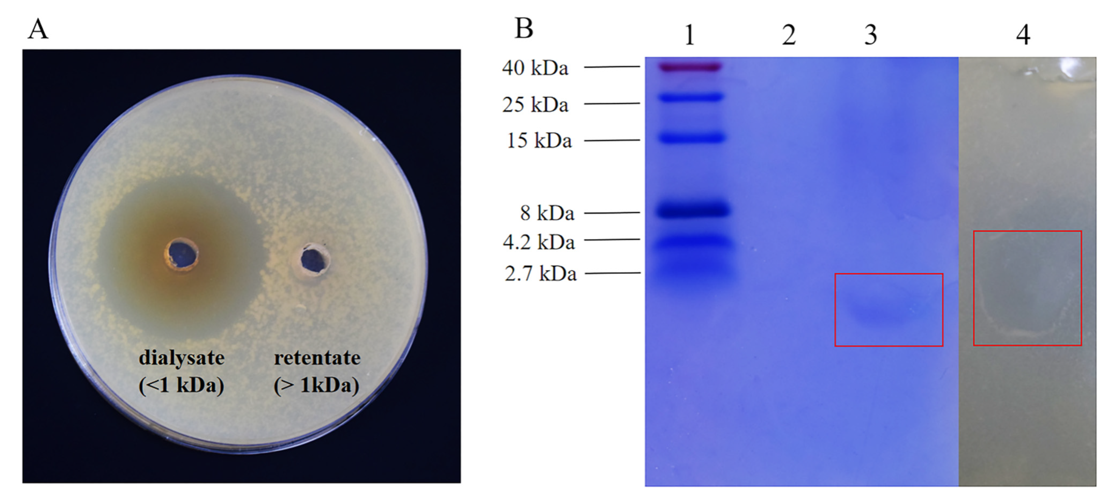 Vetsci 12 01165 g004 Vetsci 12 01165 g004