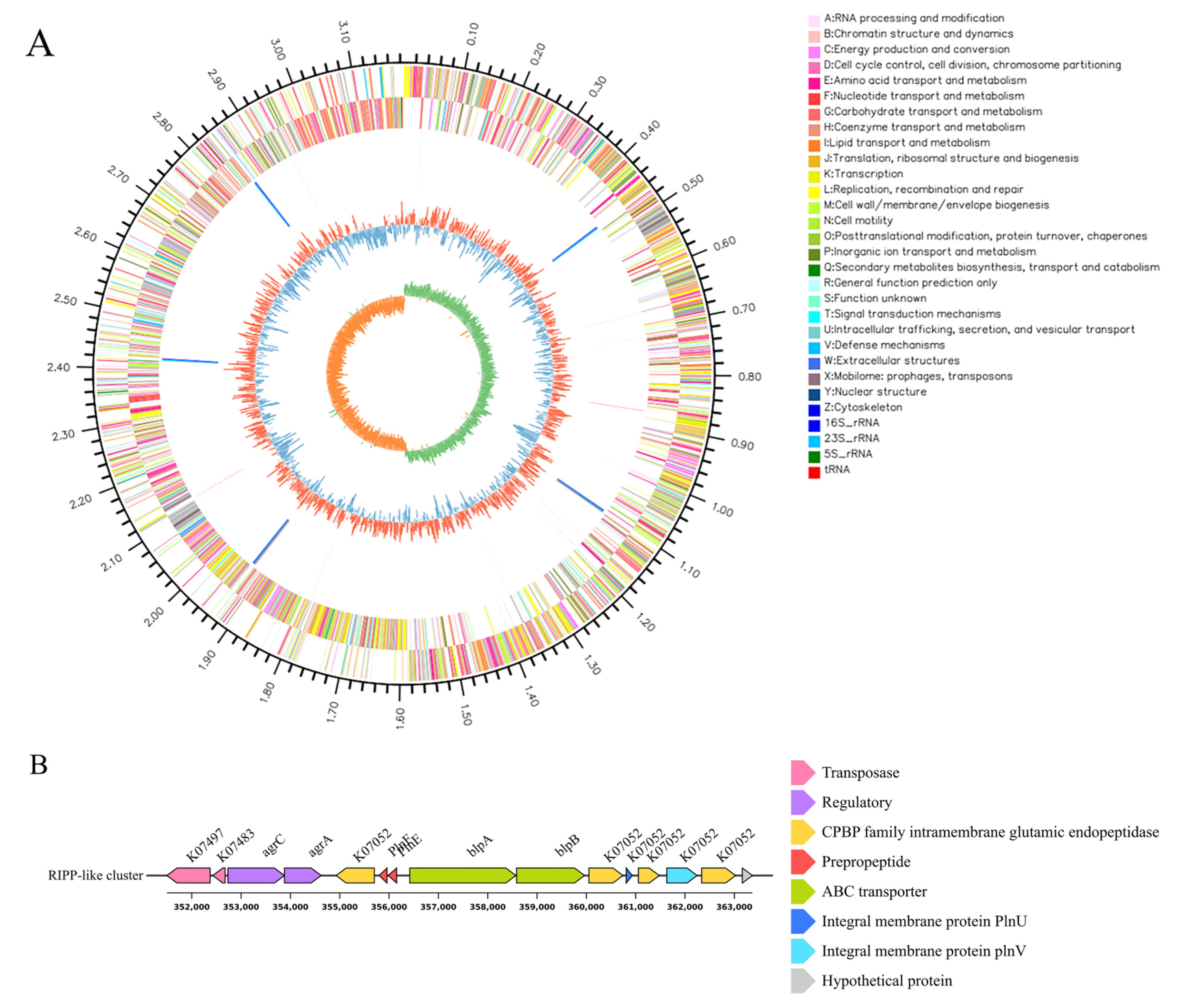 Vetsci 12 01165 g005 Vetsci 12 01165 g005