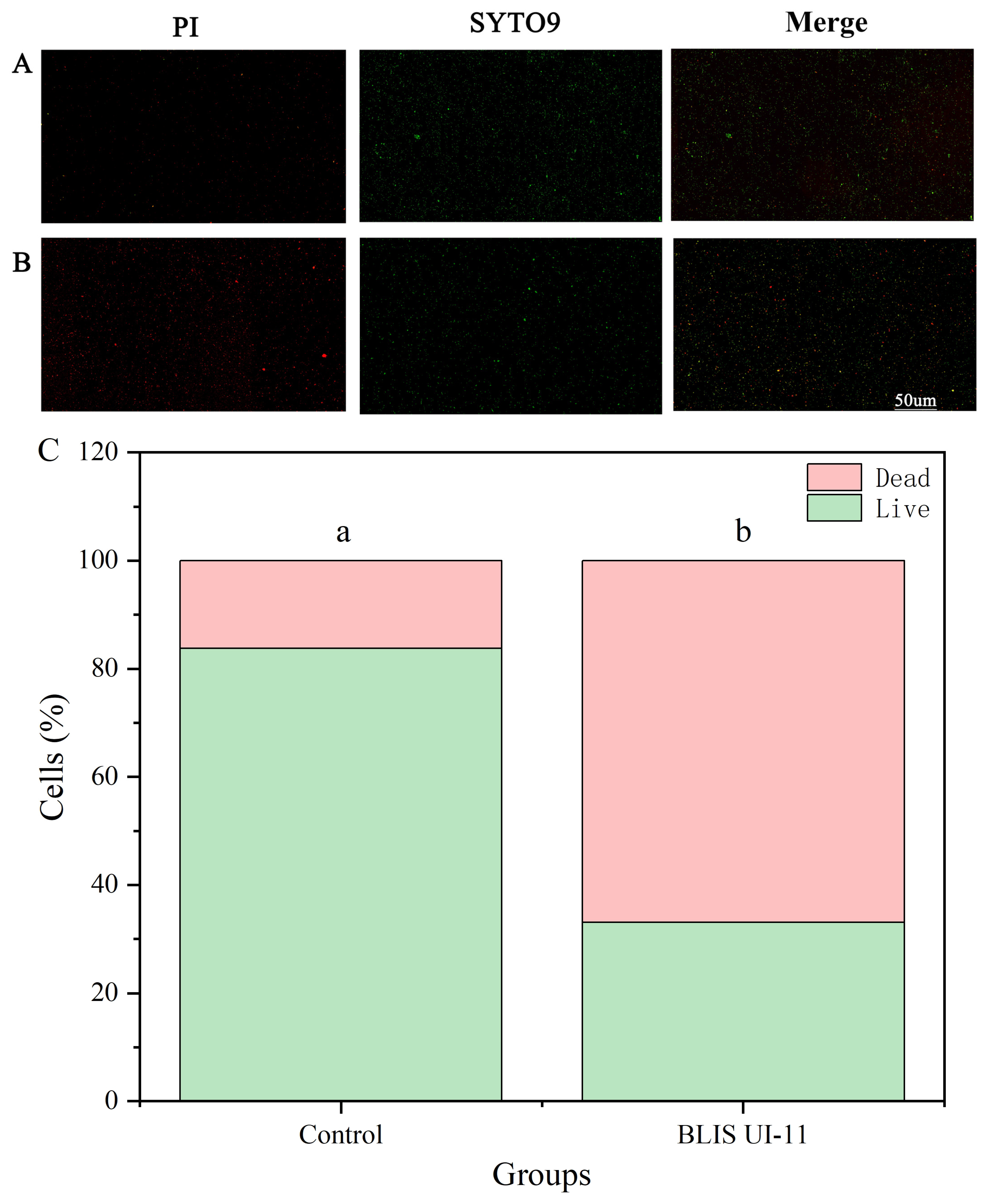 Vetsci 12 01165 g006 Vetsci 12 01165 g006