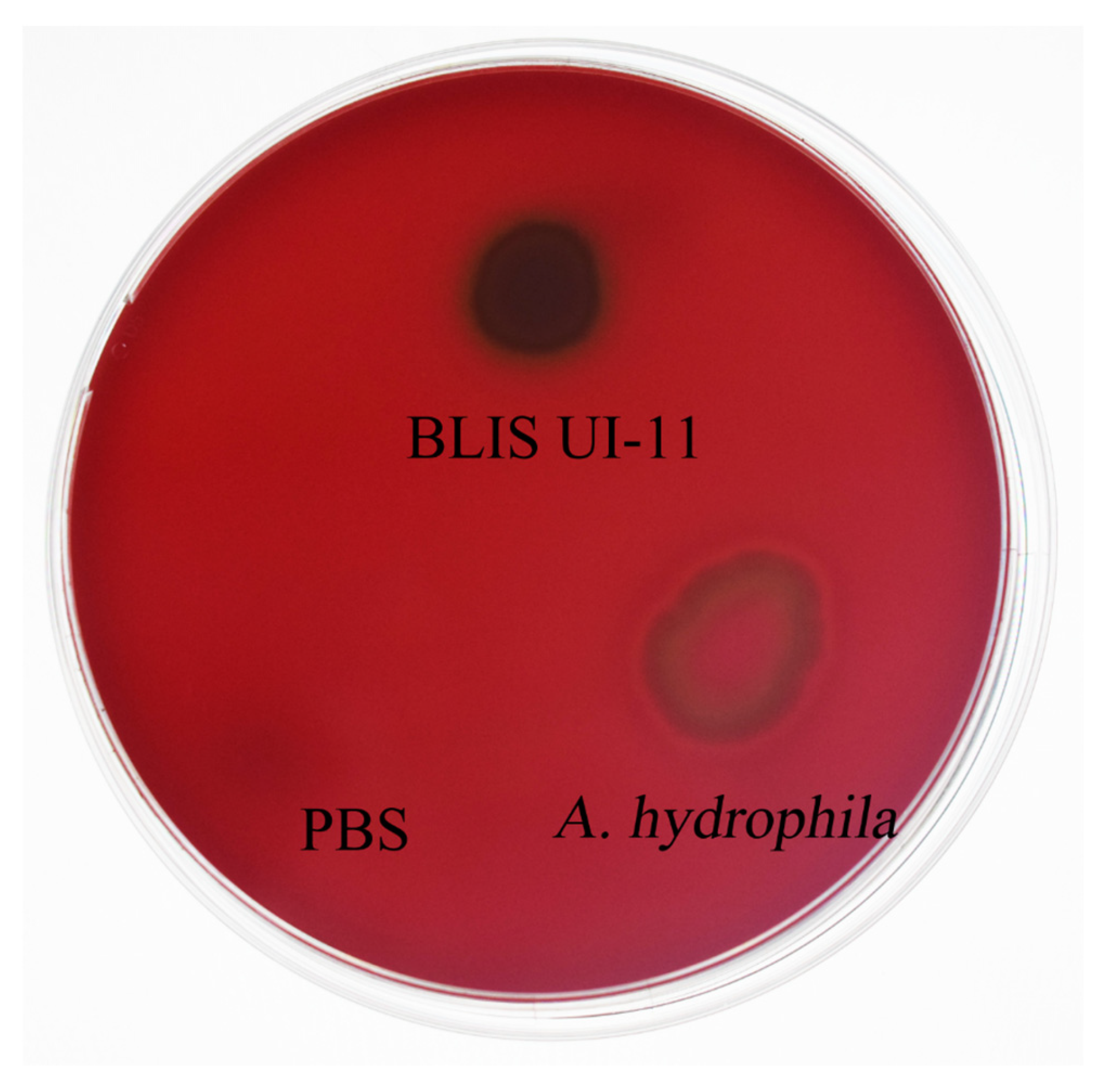 Vetsci 12 01165 g008 Vetsci 12 01165 g008