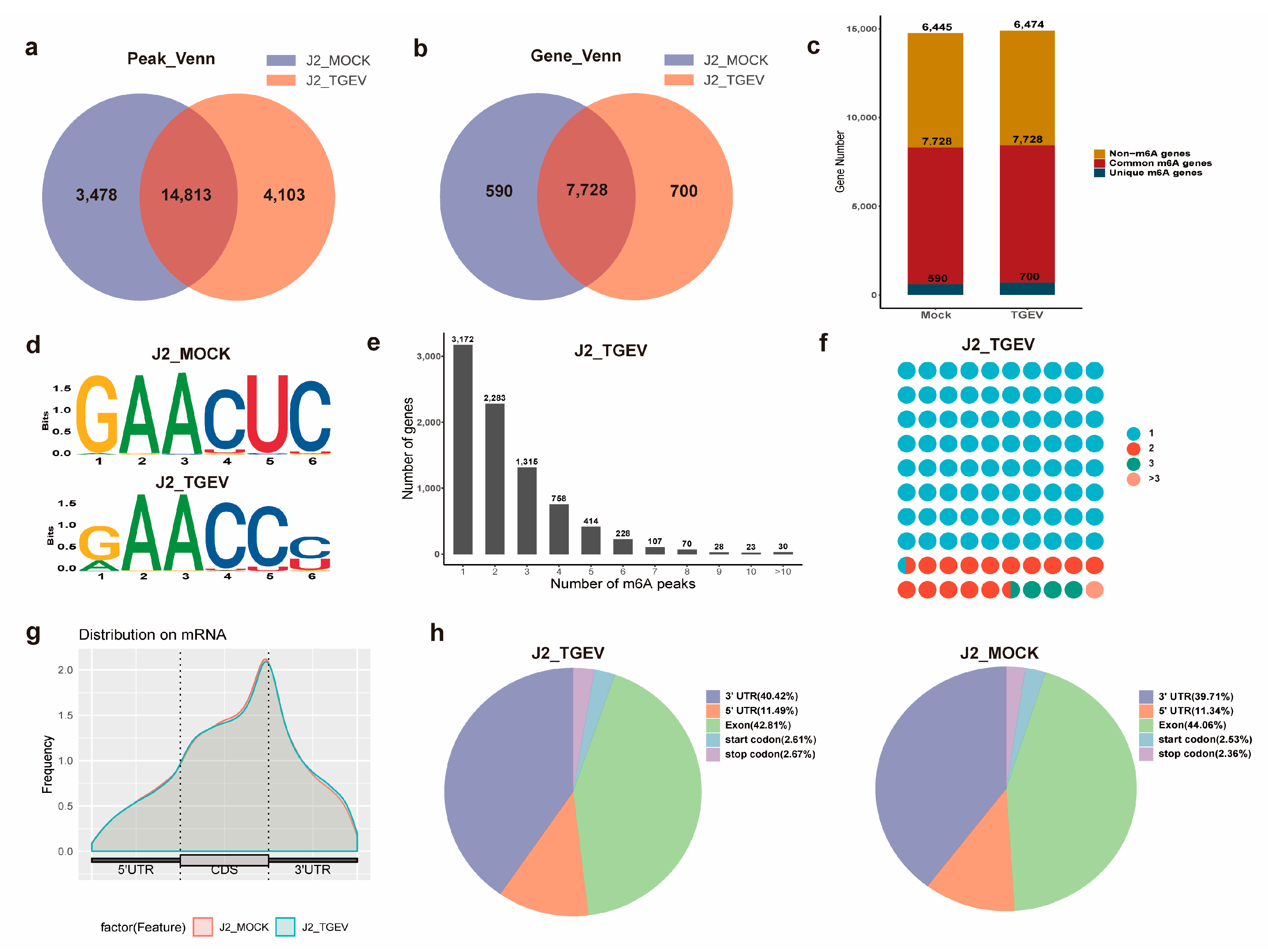 Vetsci 13 00010 g002 Vetsci 13 00010 g002